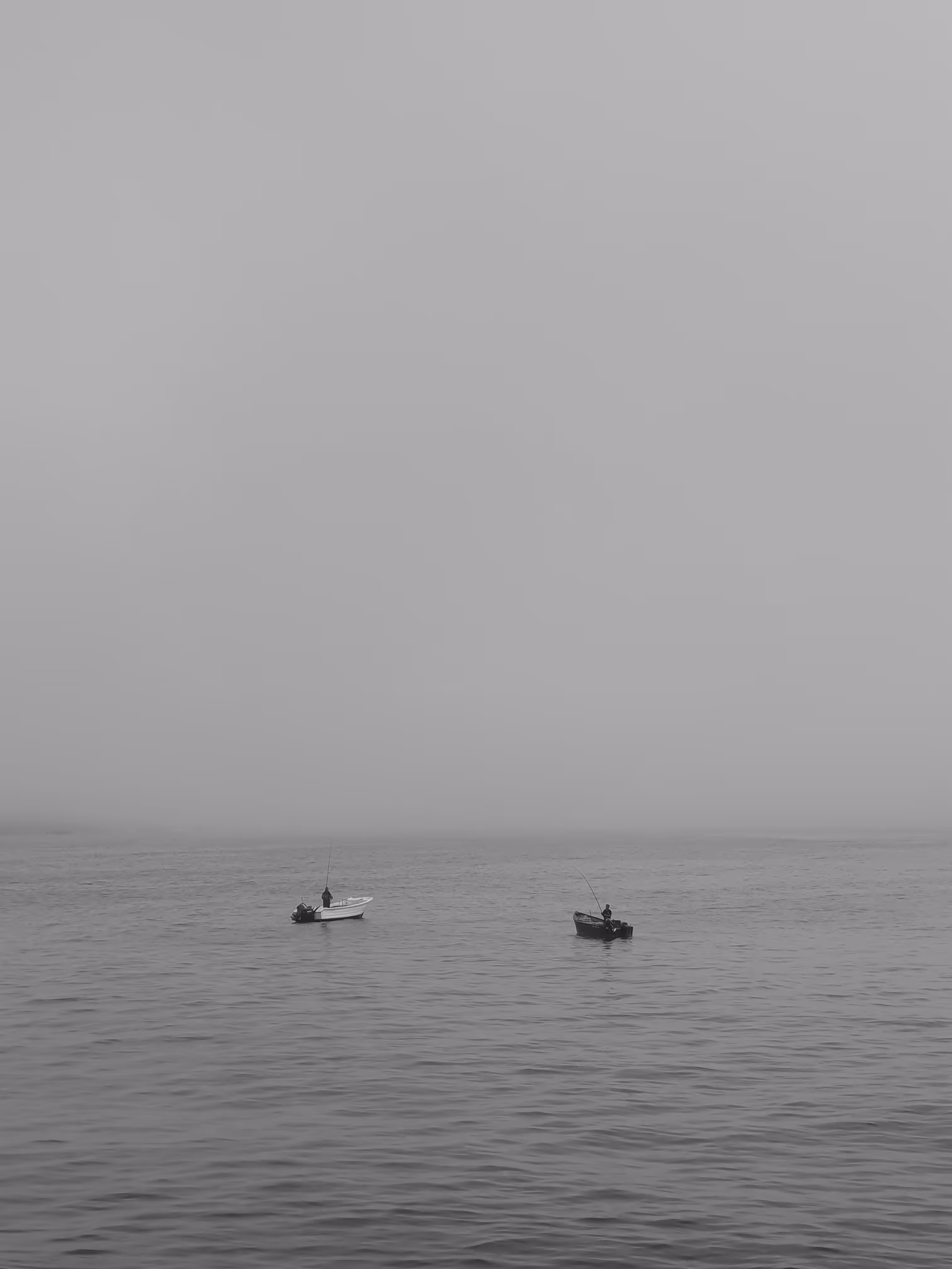 Serenity 