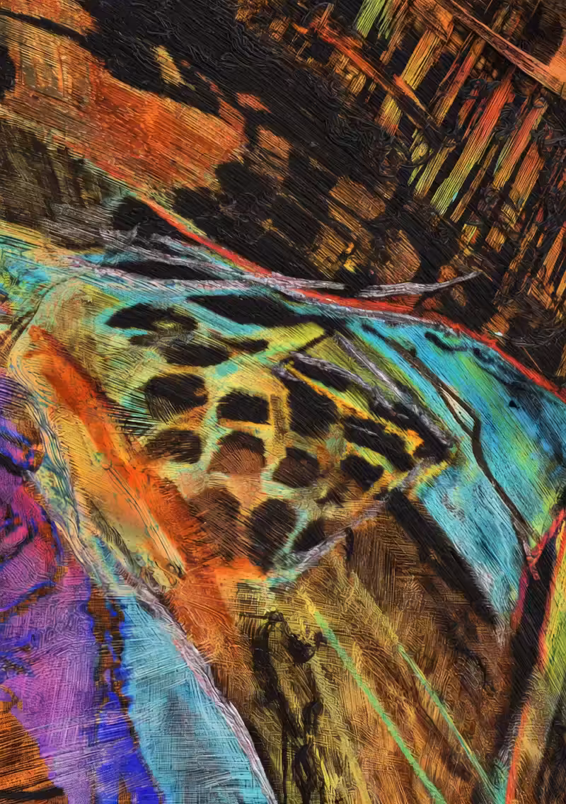 Tribal Flux: TRB_2505  