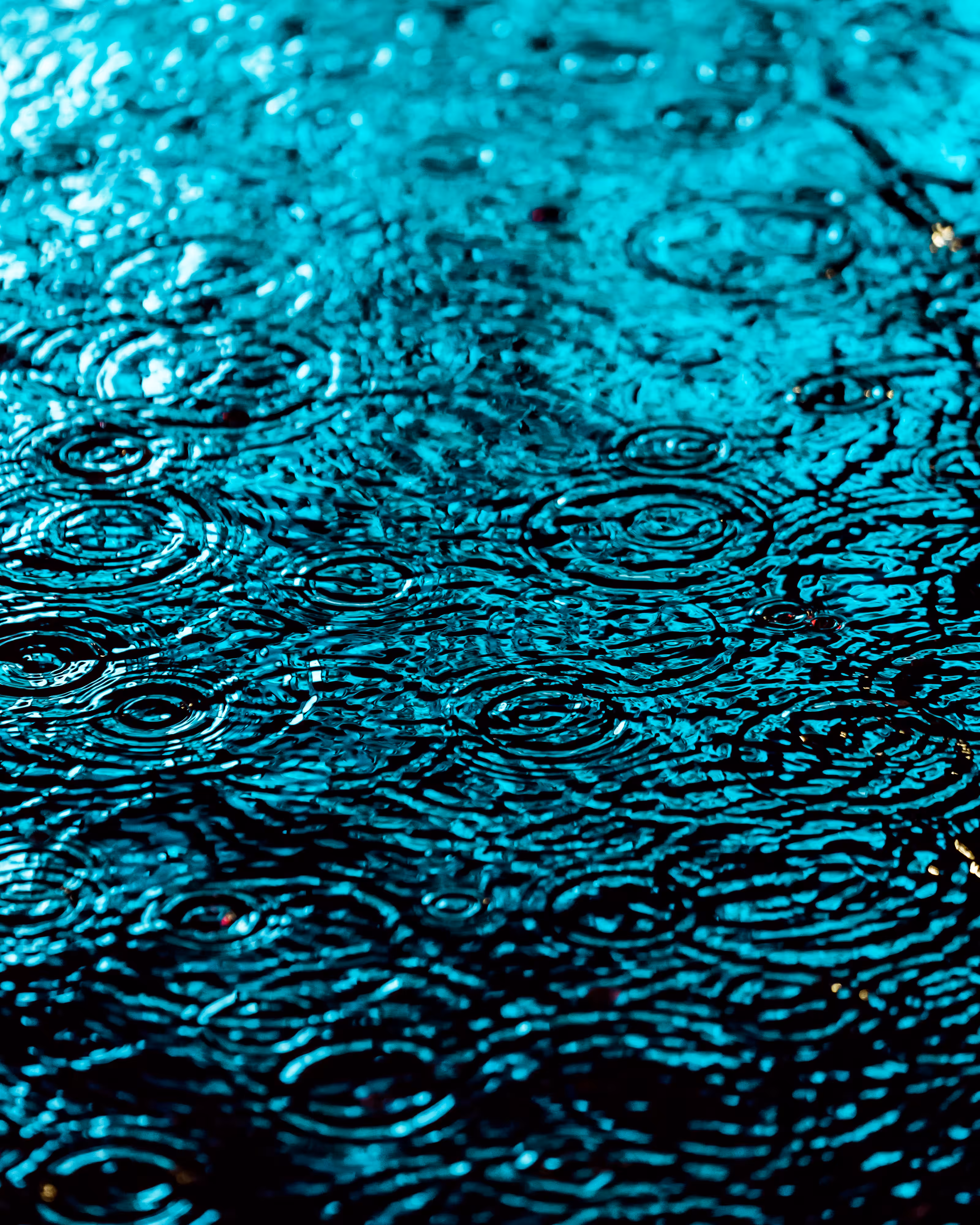 DRIP DROP: DRIP #400