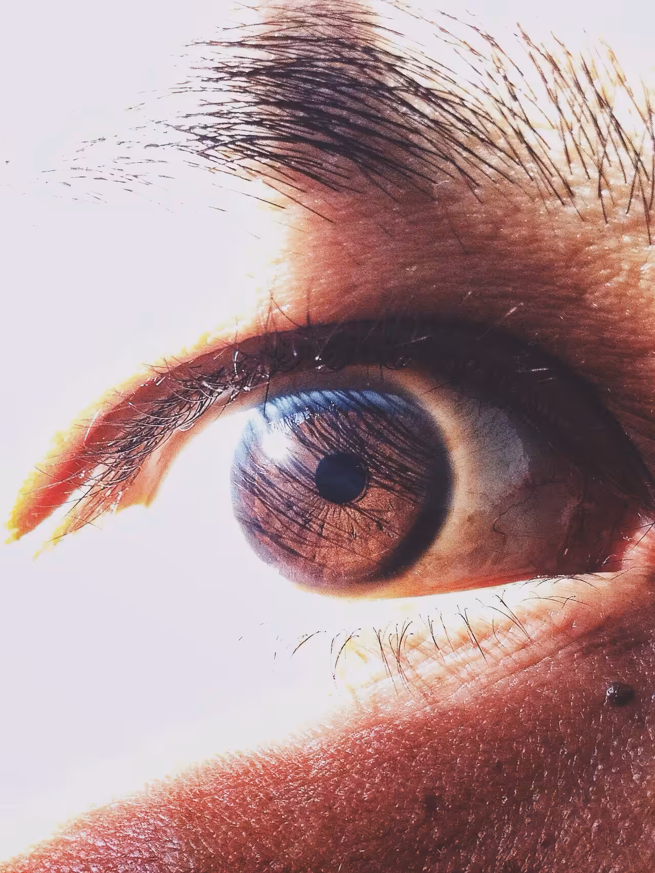 Clarity