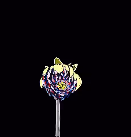 "Dahlia 26"