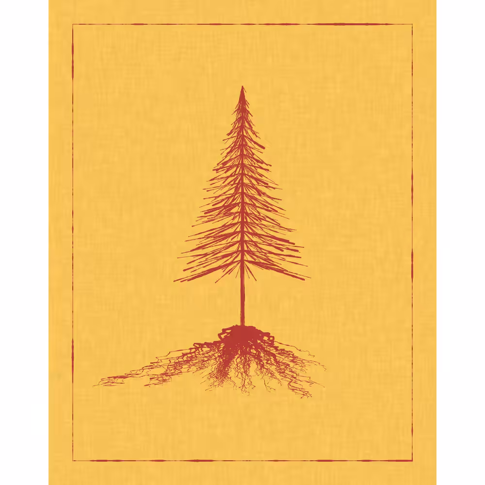 Roots #21