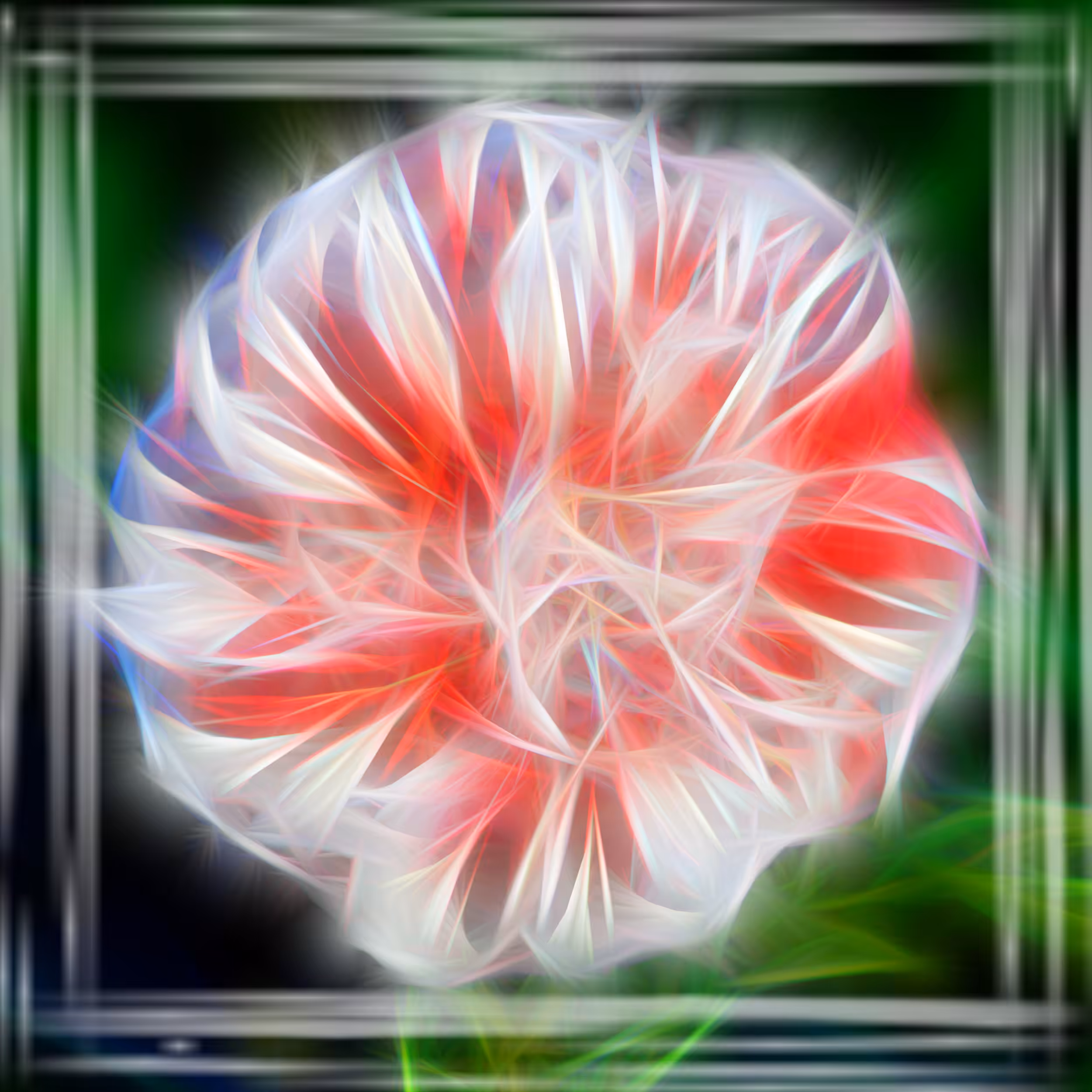 Tezoflower #3