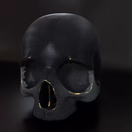 SkullZ #5