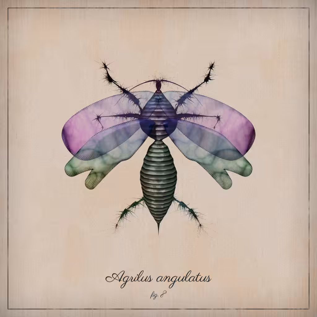 ProcGen Entomology #305
