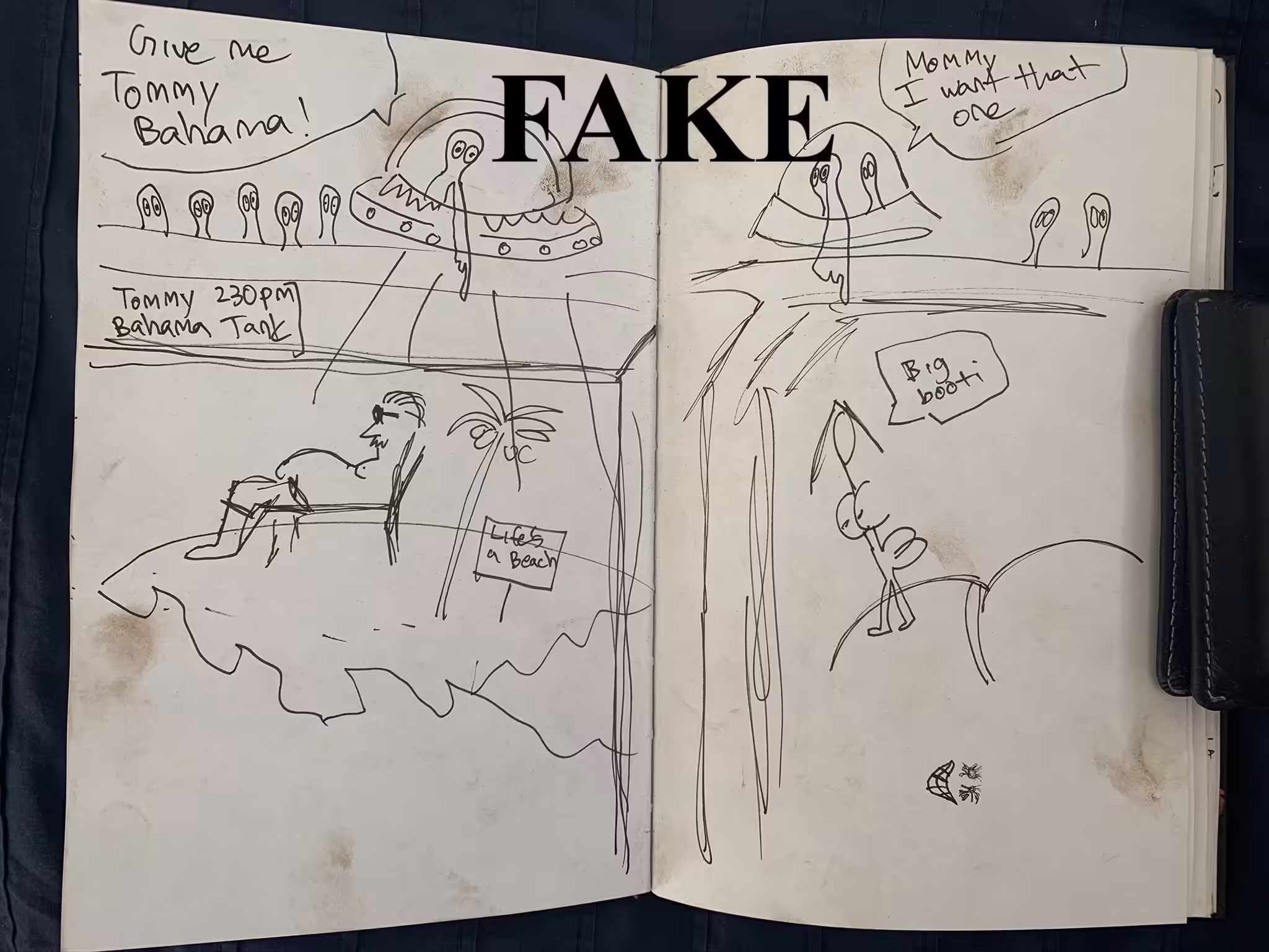 FAKE sketch 2