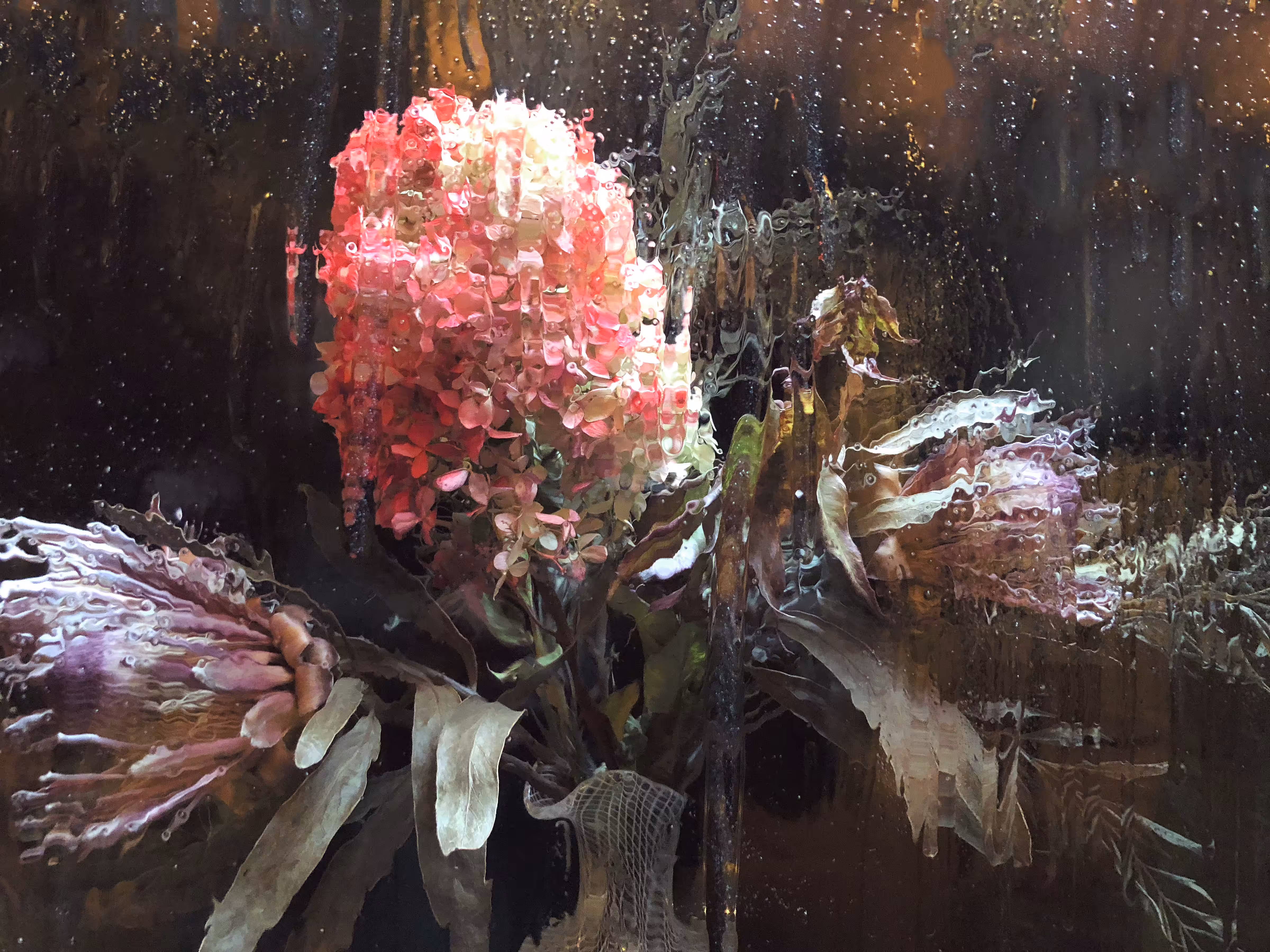 Reflections #5