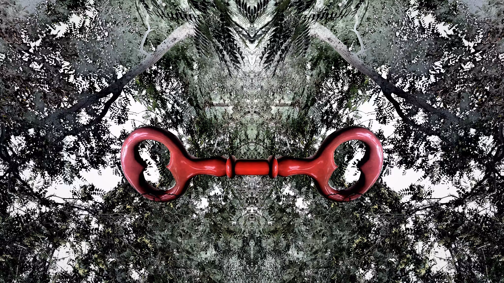 Twin Key Head in the Forest