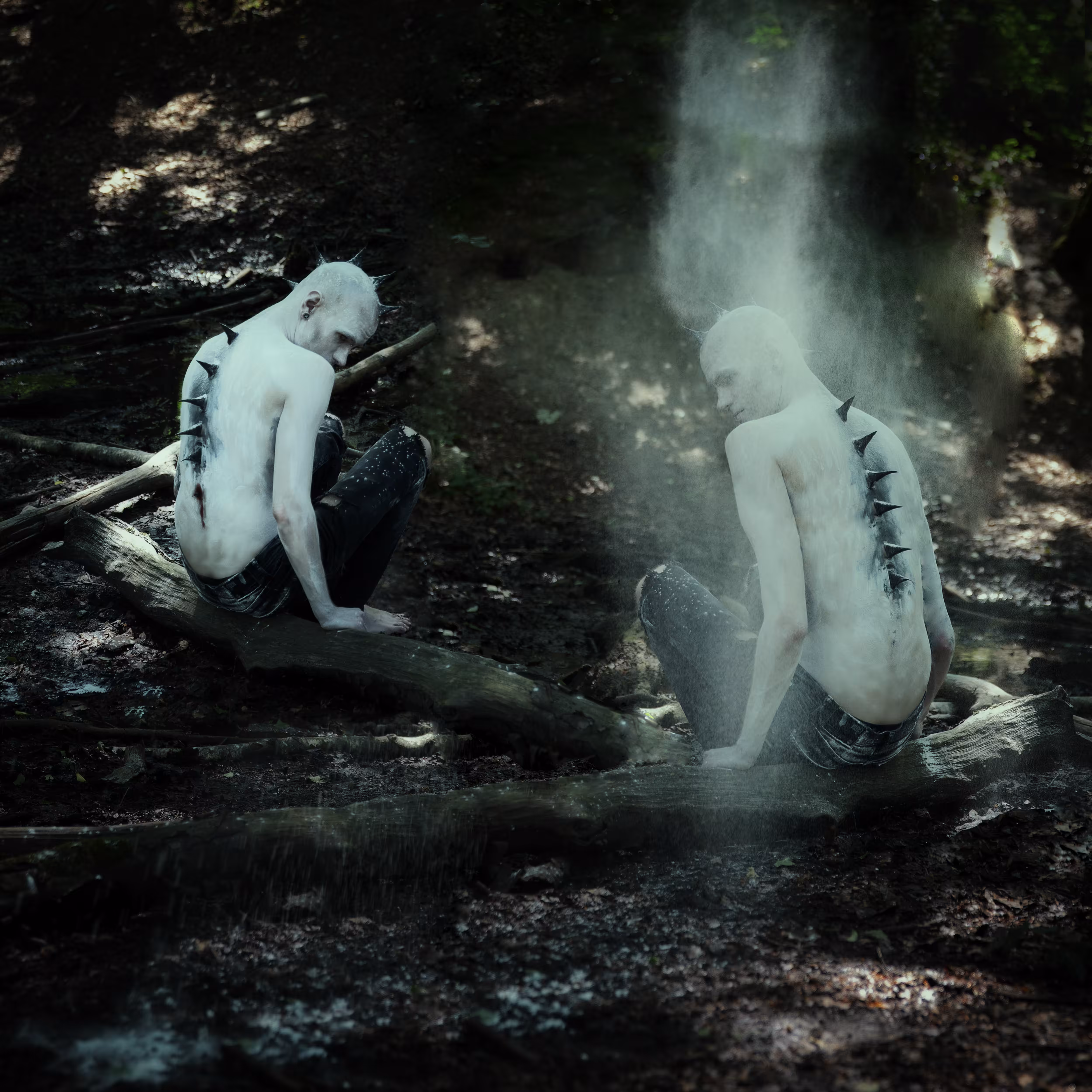 The Encounter