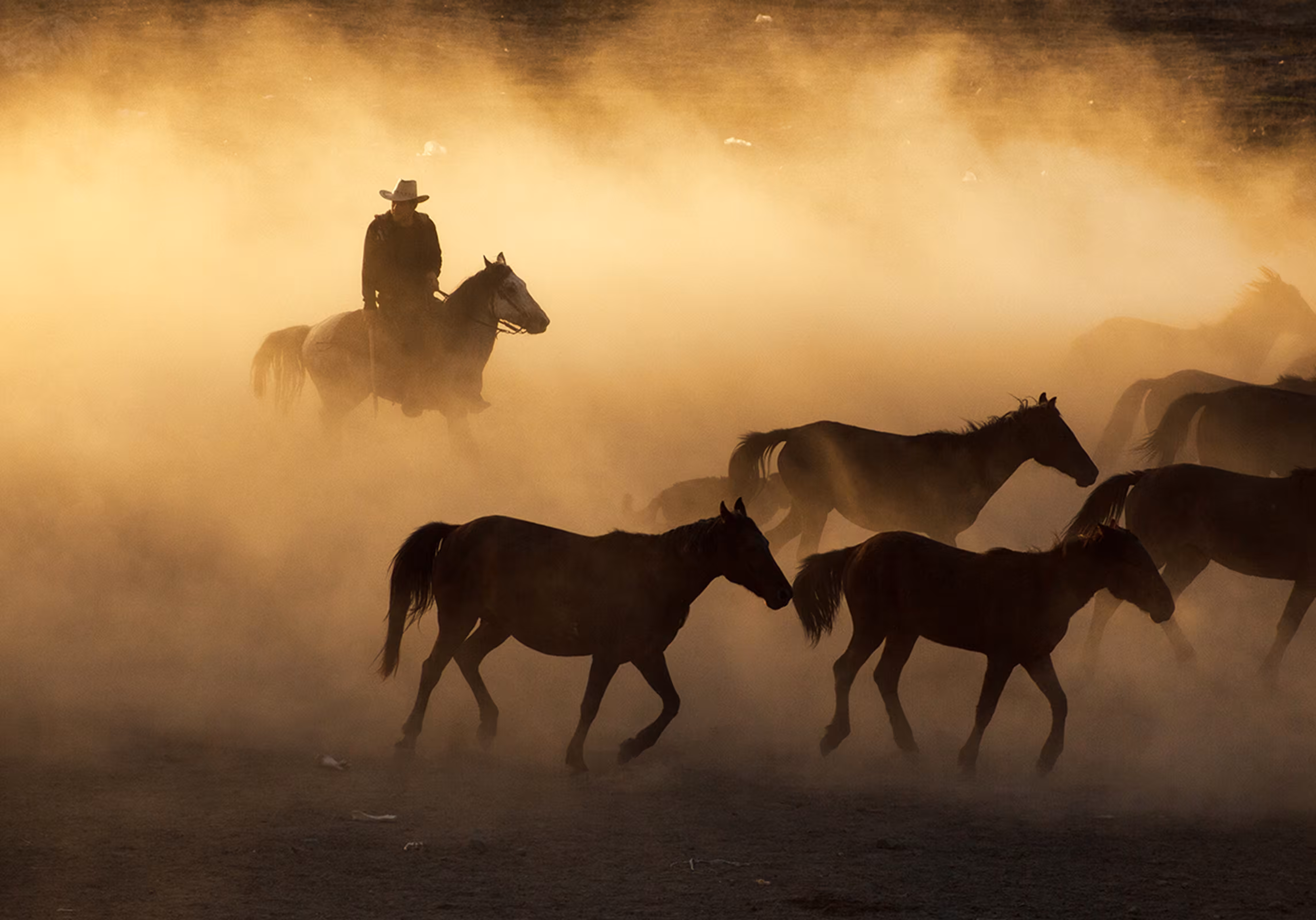 Cowboy_6