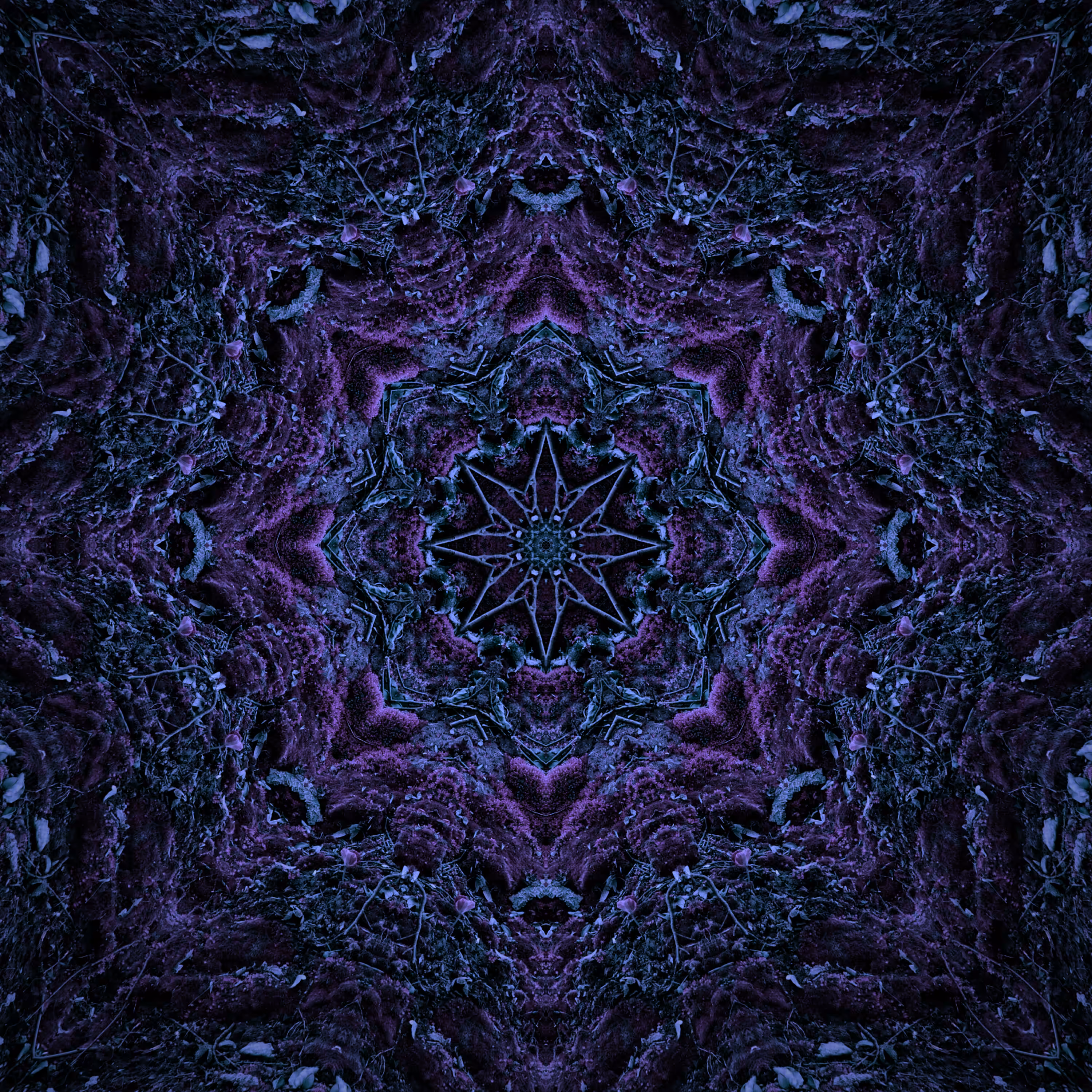 #2 CAVE