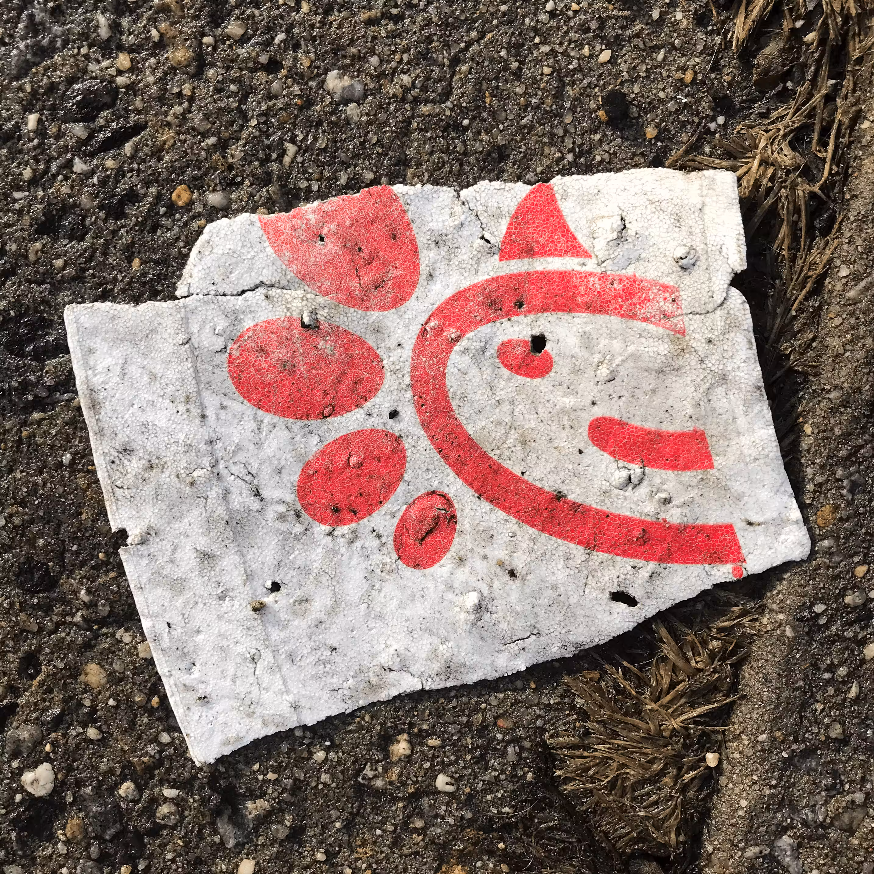 Cryptotrash #35