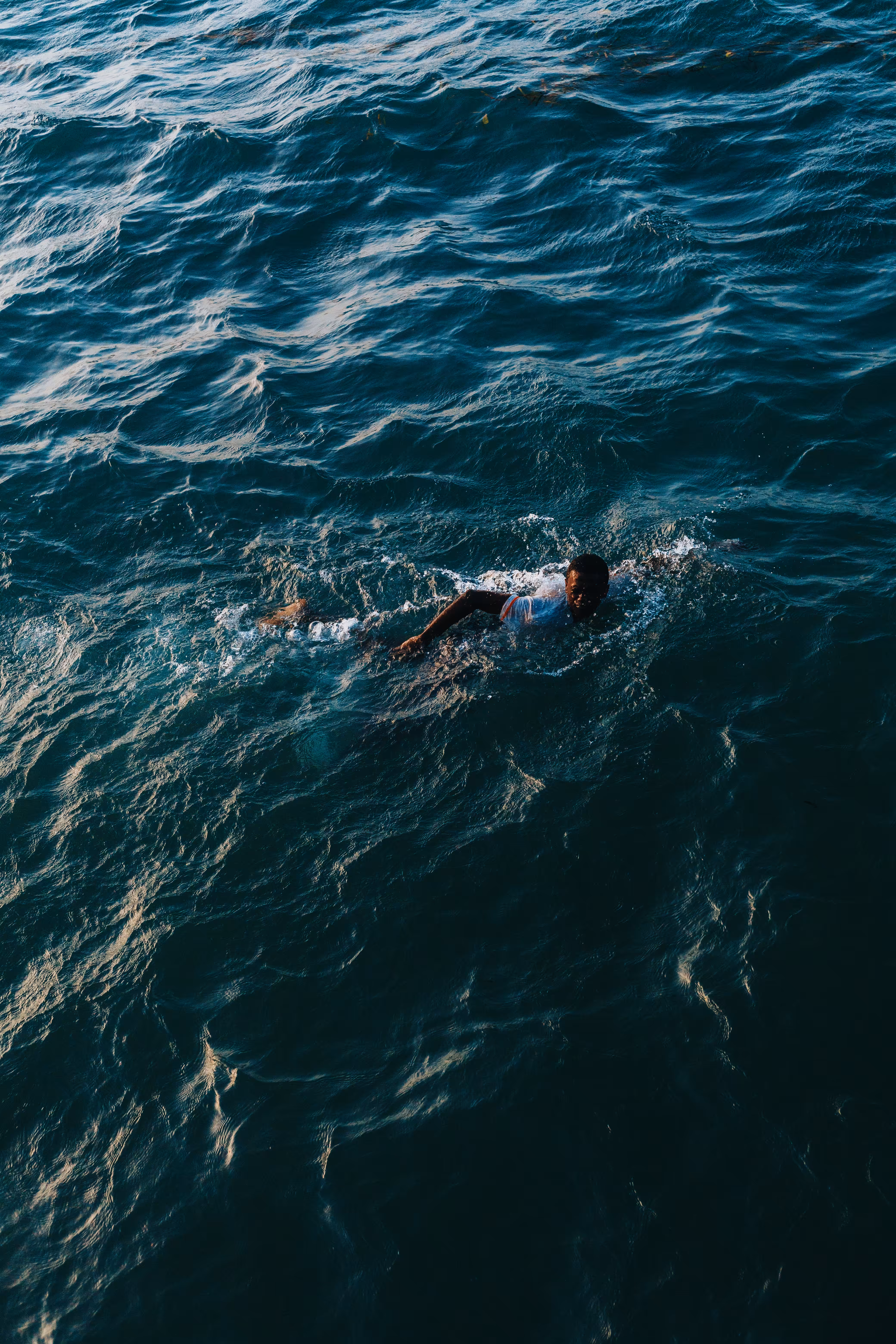 Keep Swimming