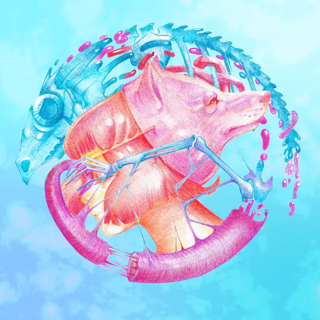 "Wolf Princess" NFT Collectible 