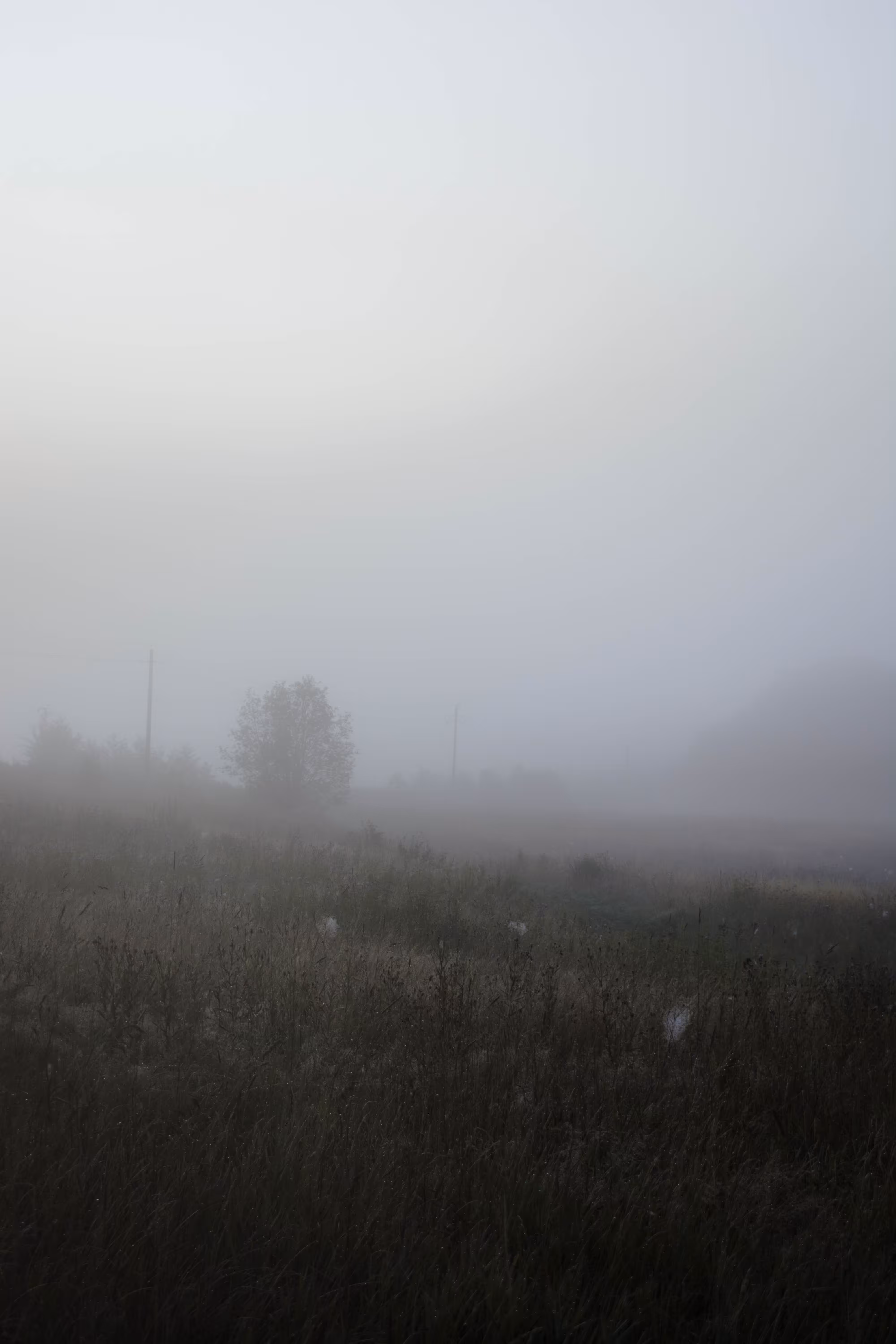 Cold morning