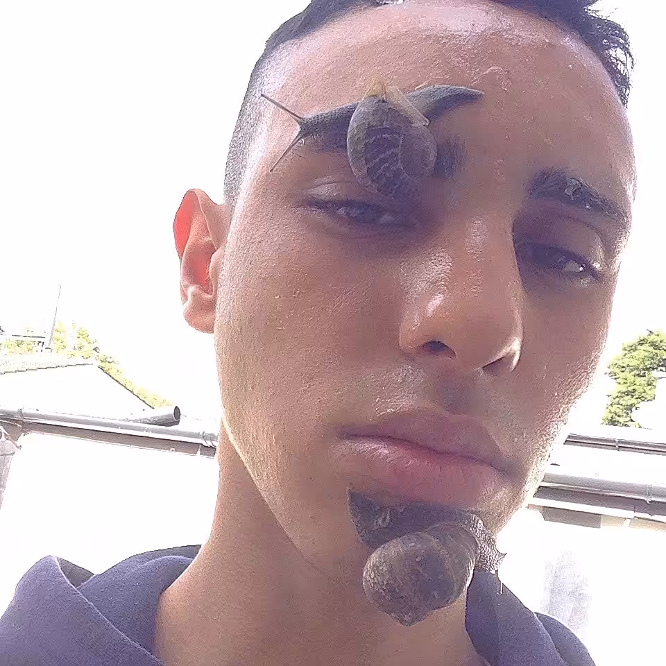 Snail 