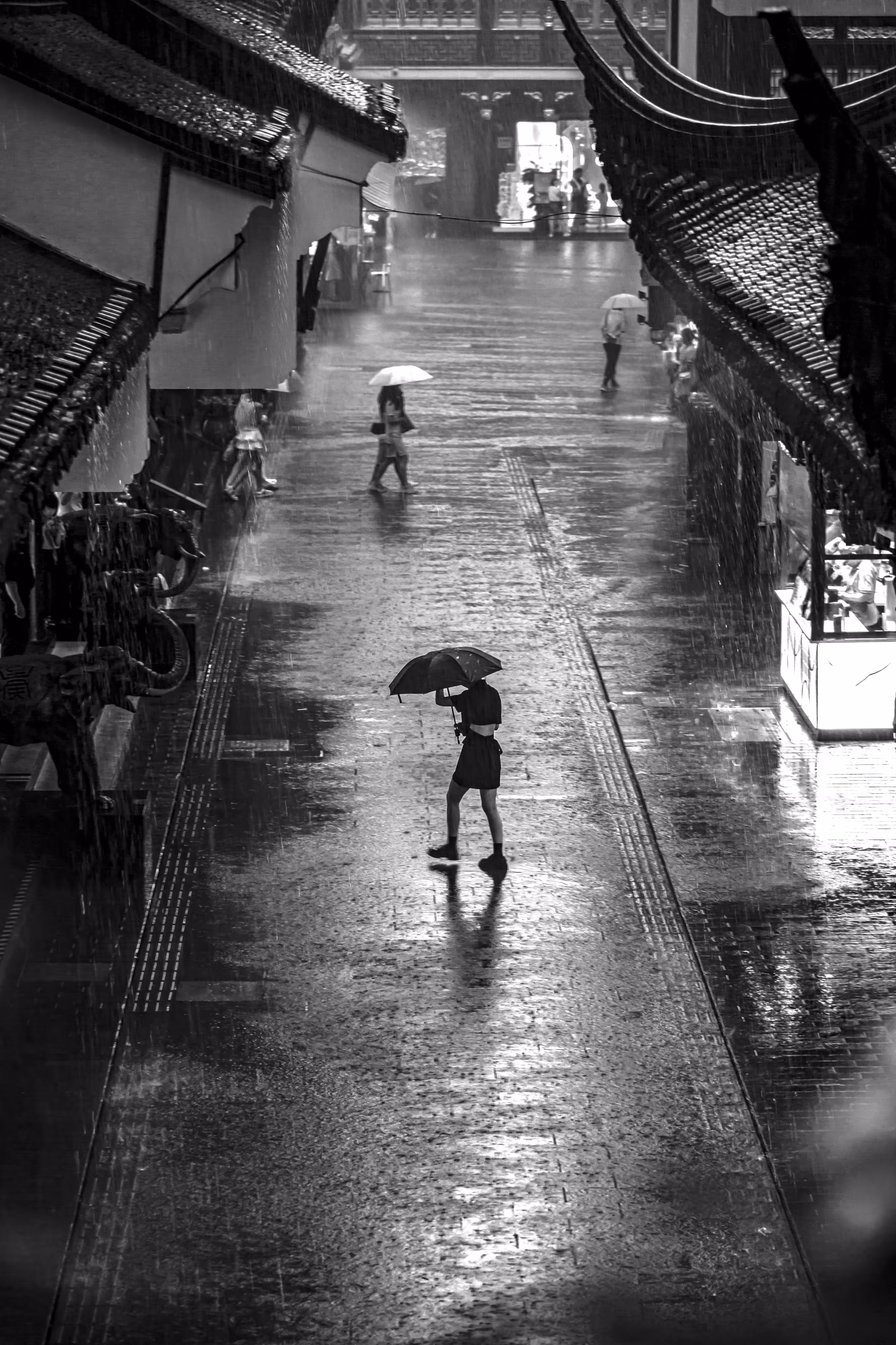 B&W Photography: Rain.