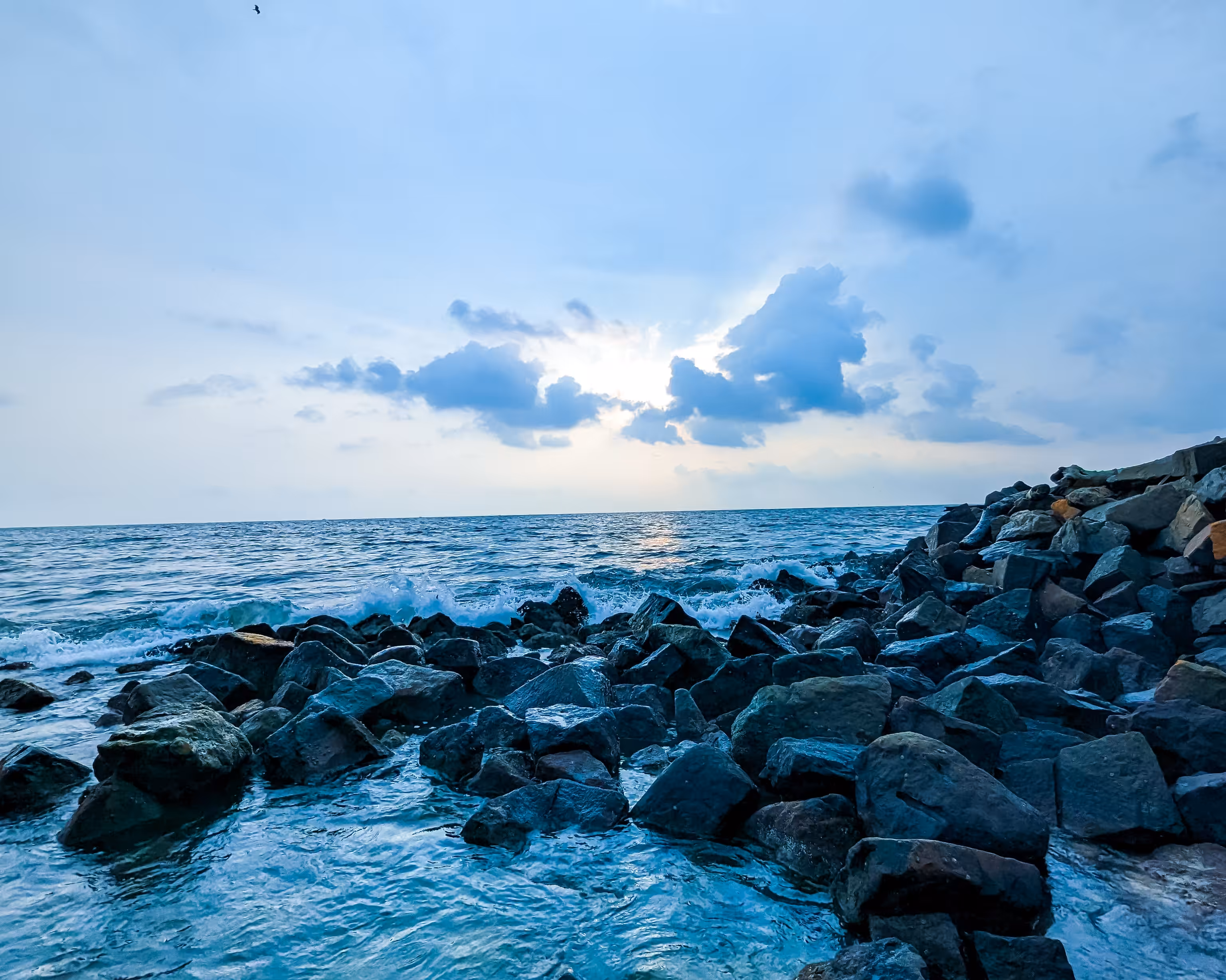 Captured Moments: Blue Reverie