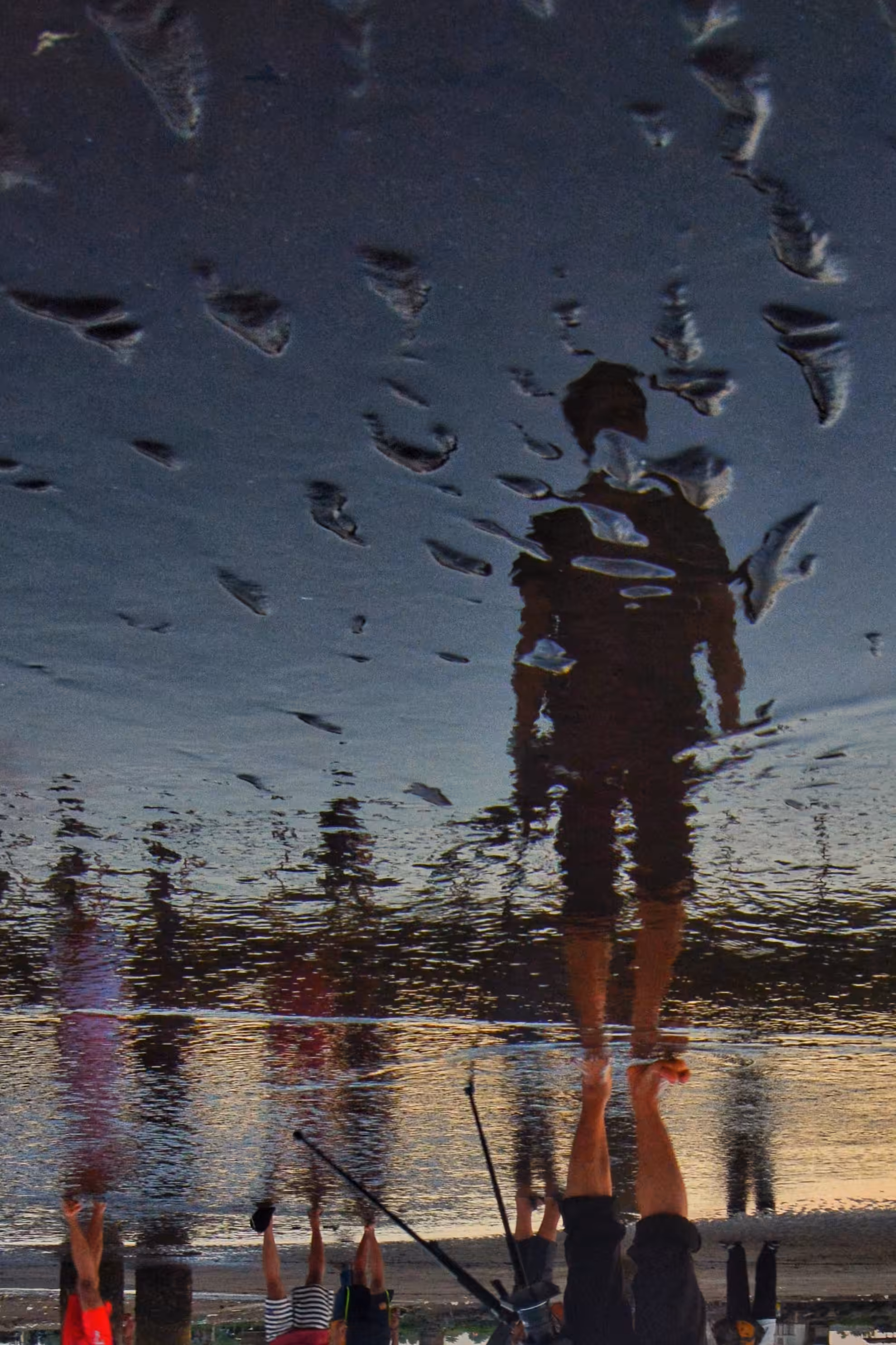 Photography: Reflection 