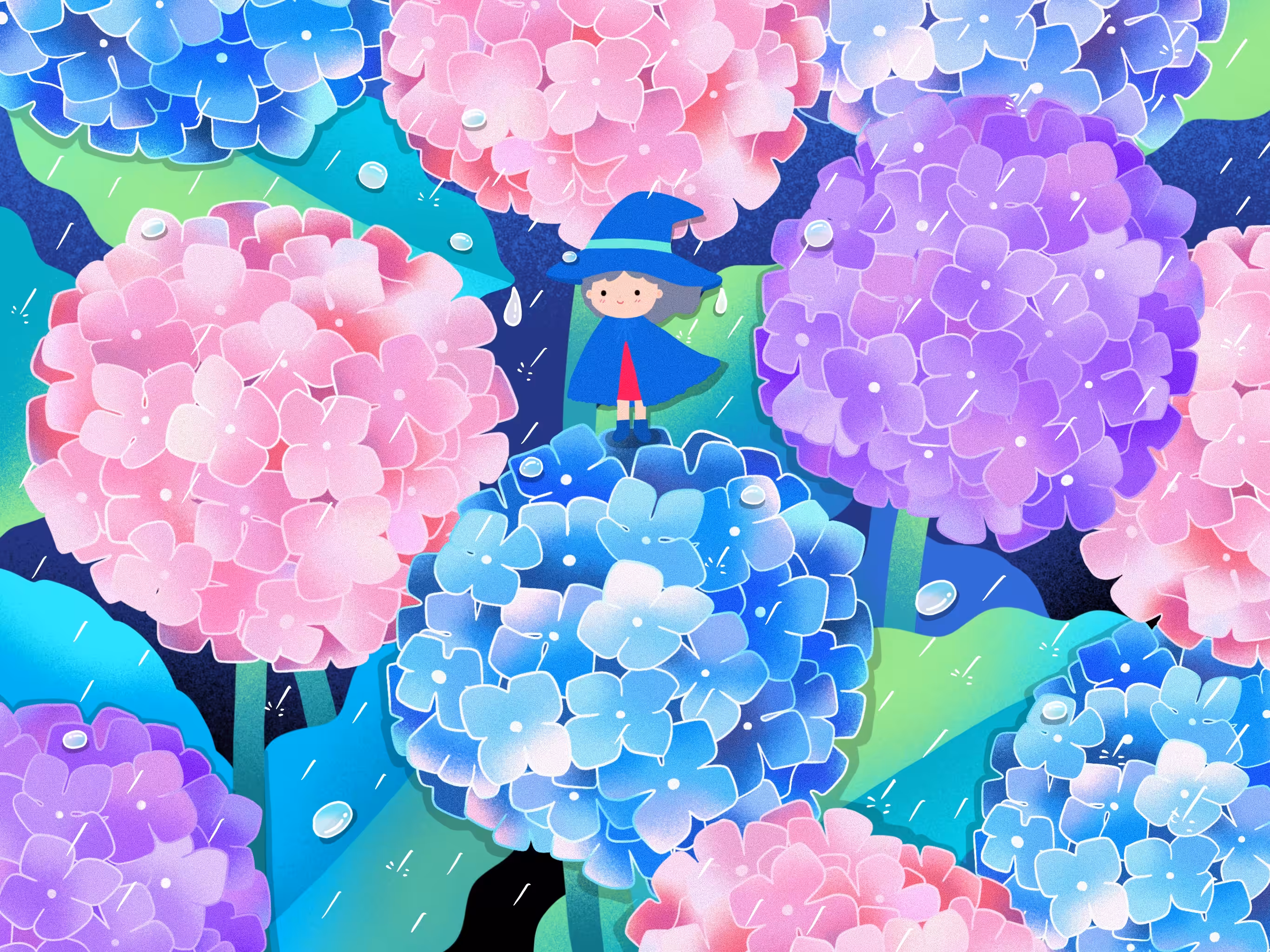 On the way with hydrangeas