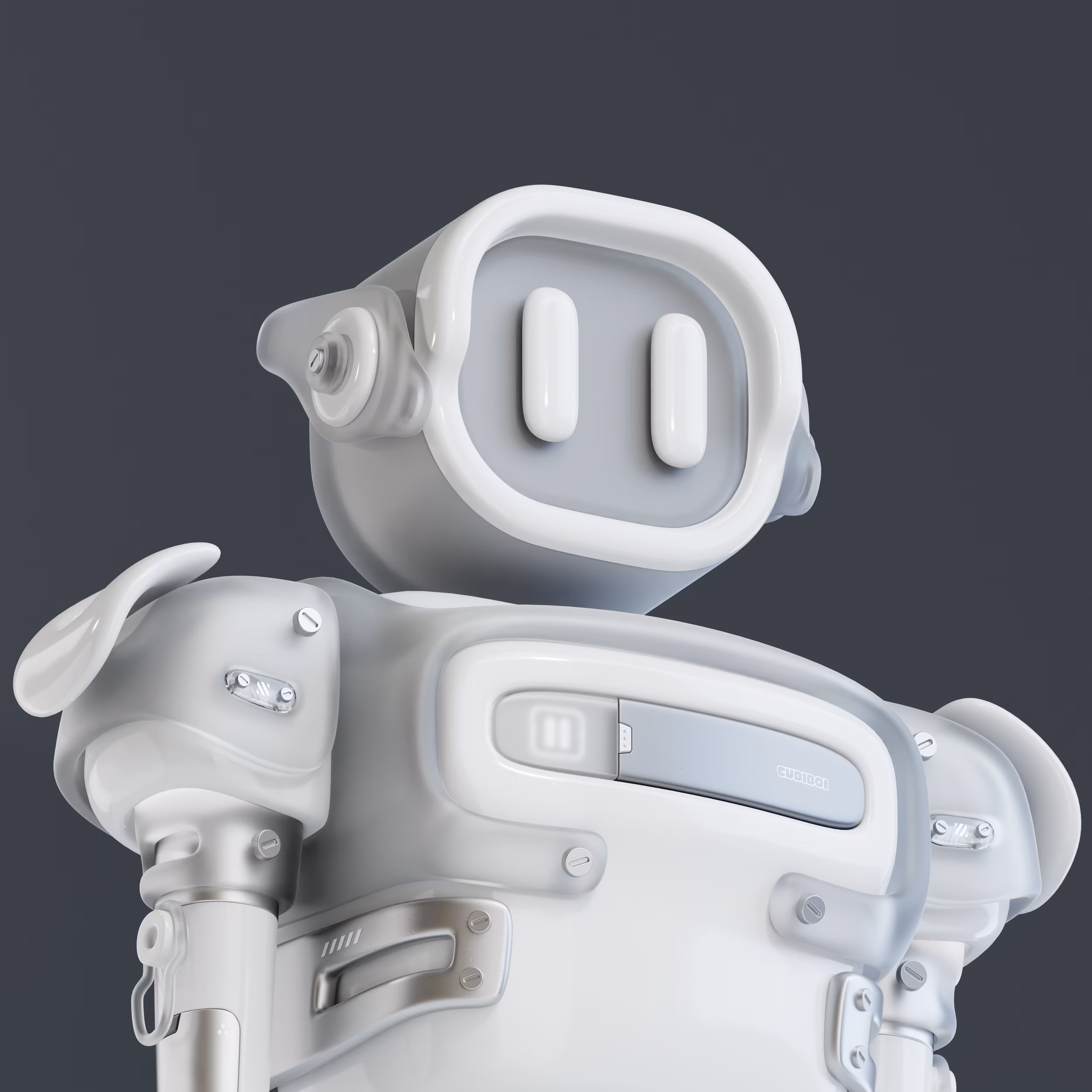CUBIBOI #011