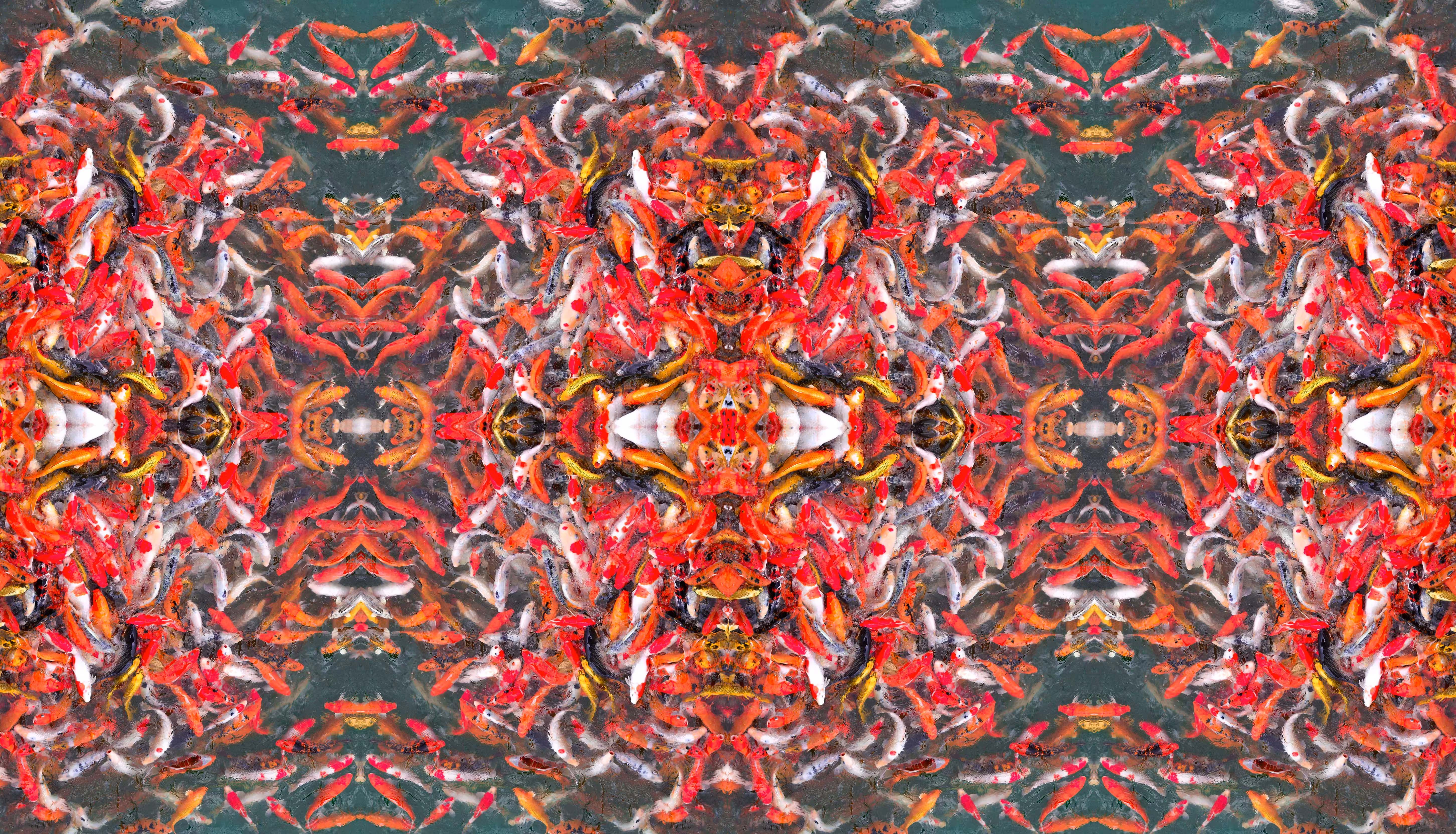 𝗔𝗯𝘀𝘁𝗿𝗮𝗰𝘁 Koi Carp Fish - Symetry Art 2