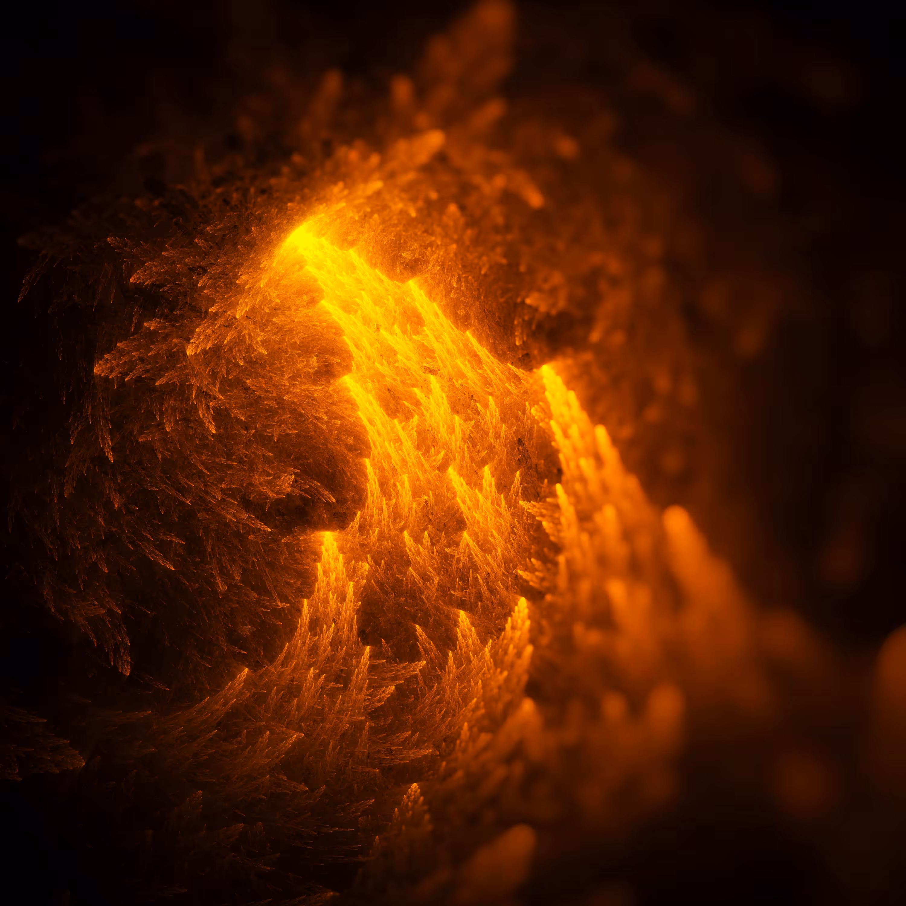 S002F005