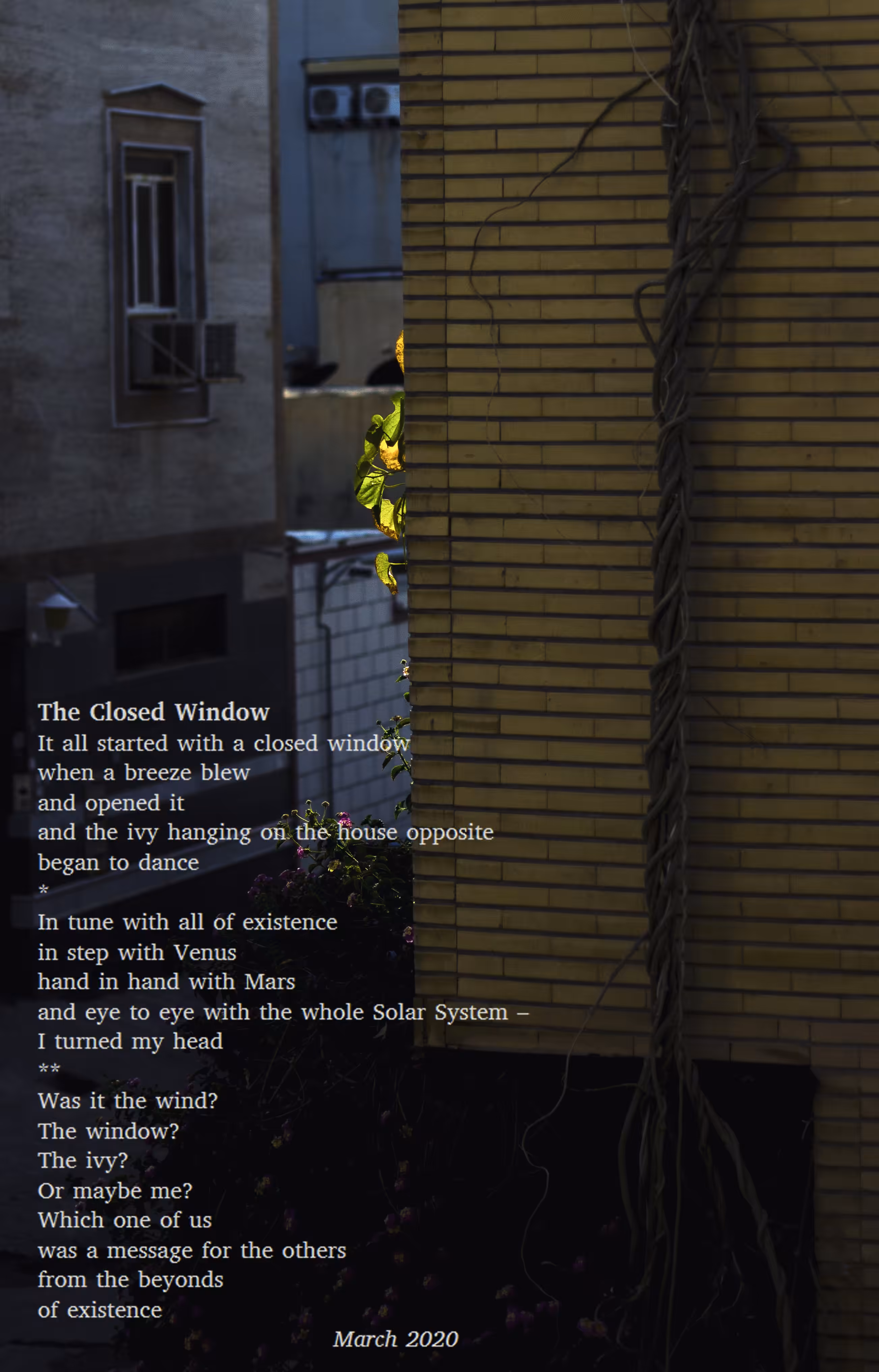 Behind the window