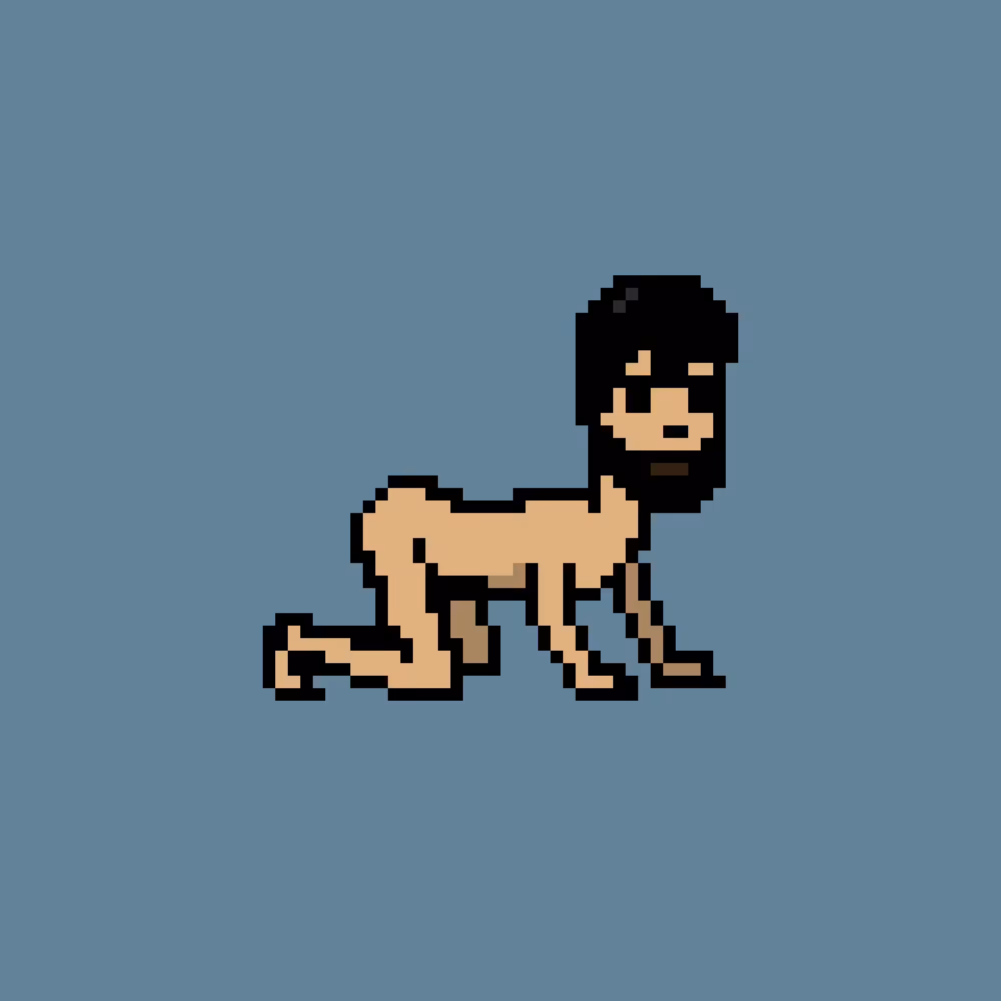 CrawlingPunks: CrawlingPunk #8162