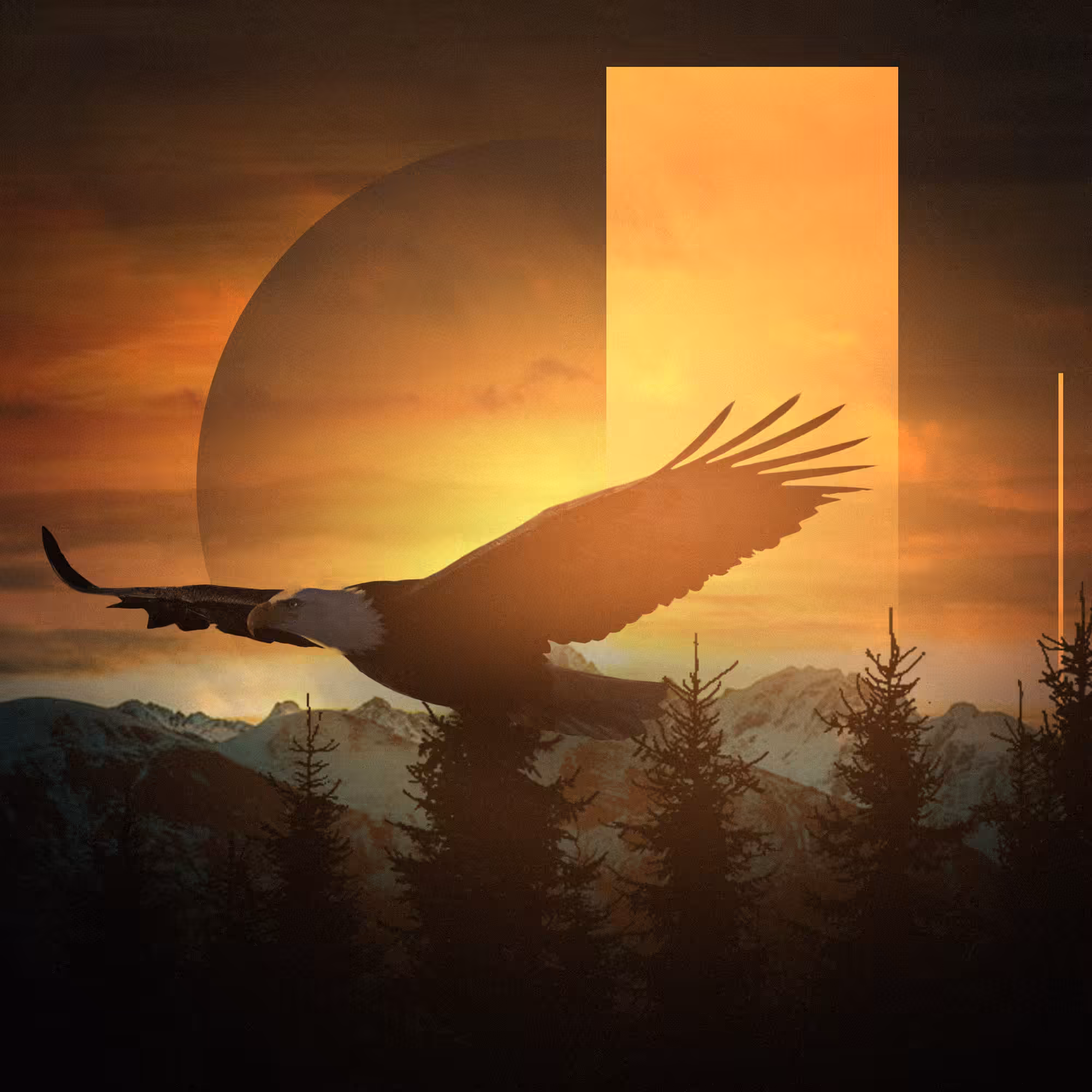 Freebird