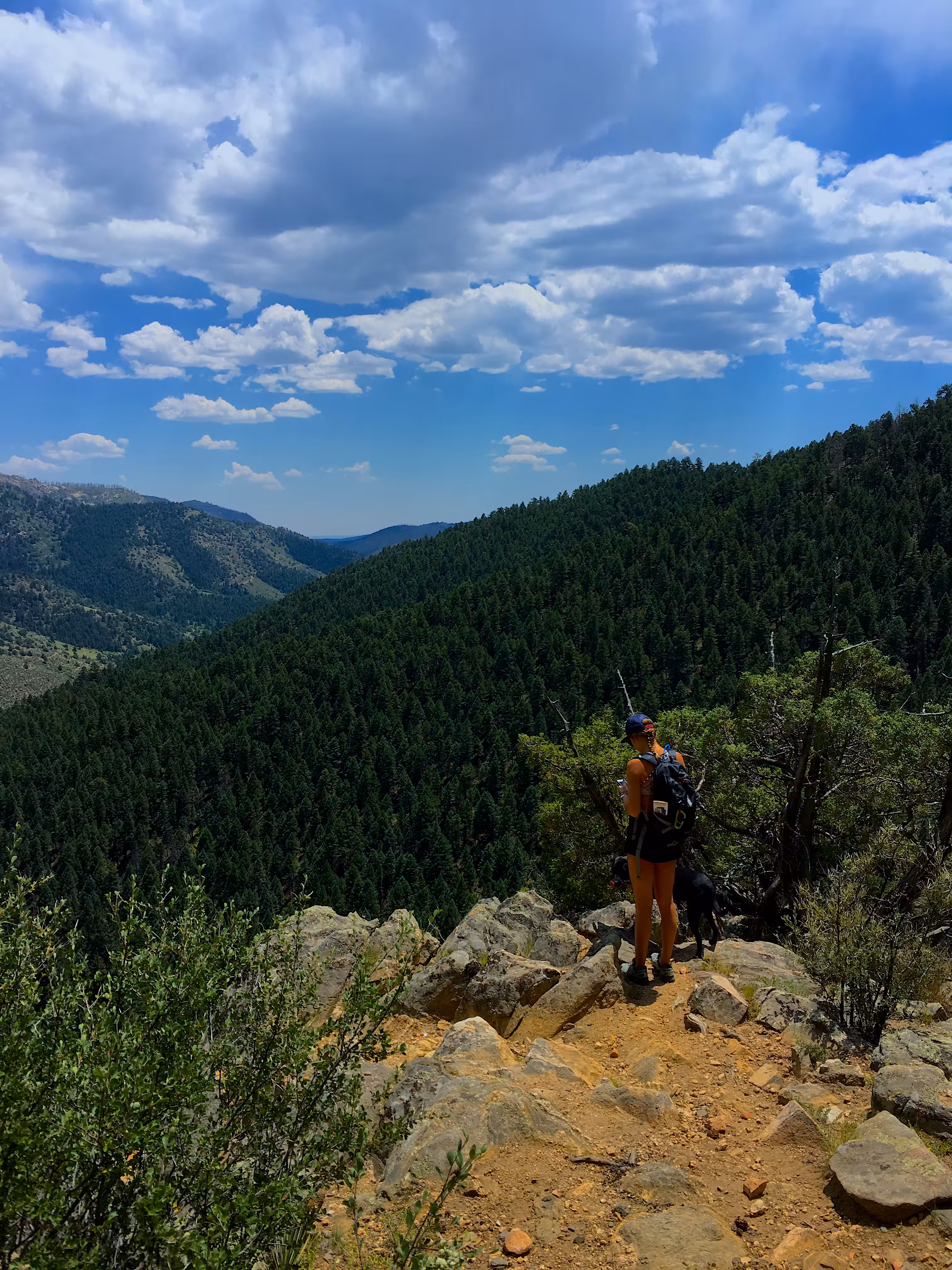 Colorado Trails