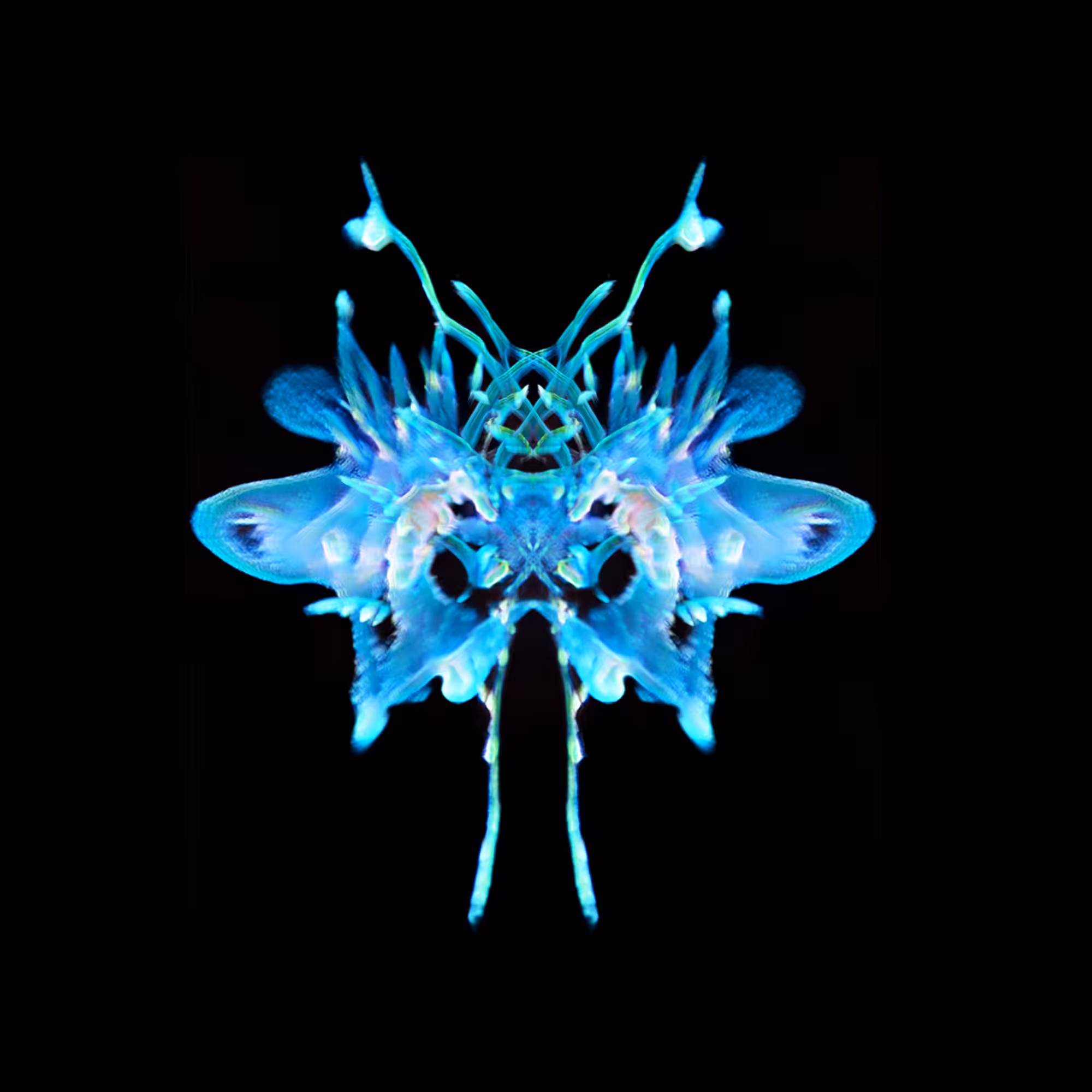 Interspecies Iterations #05