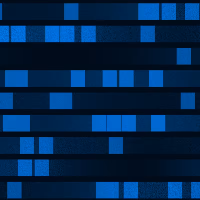 Genome hash Analysis #1