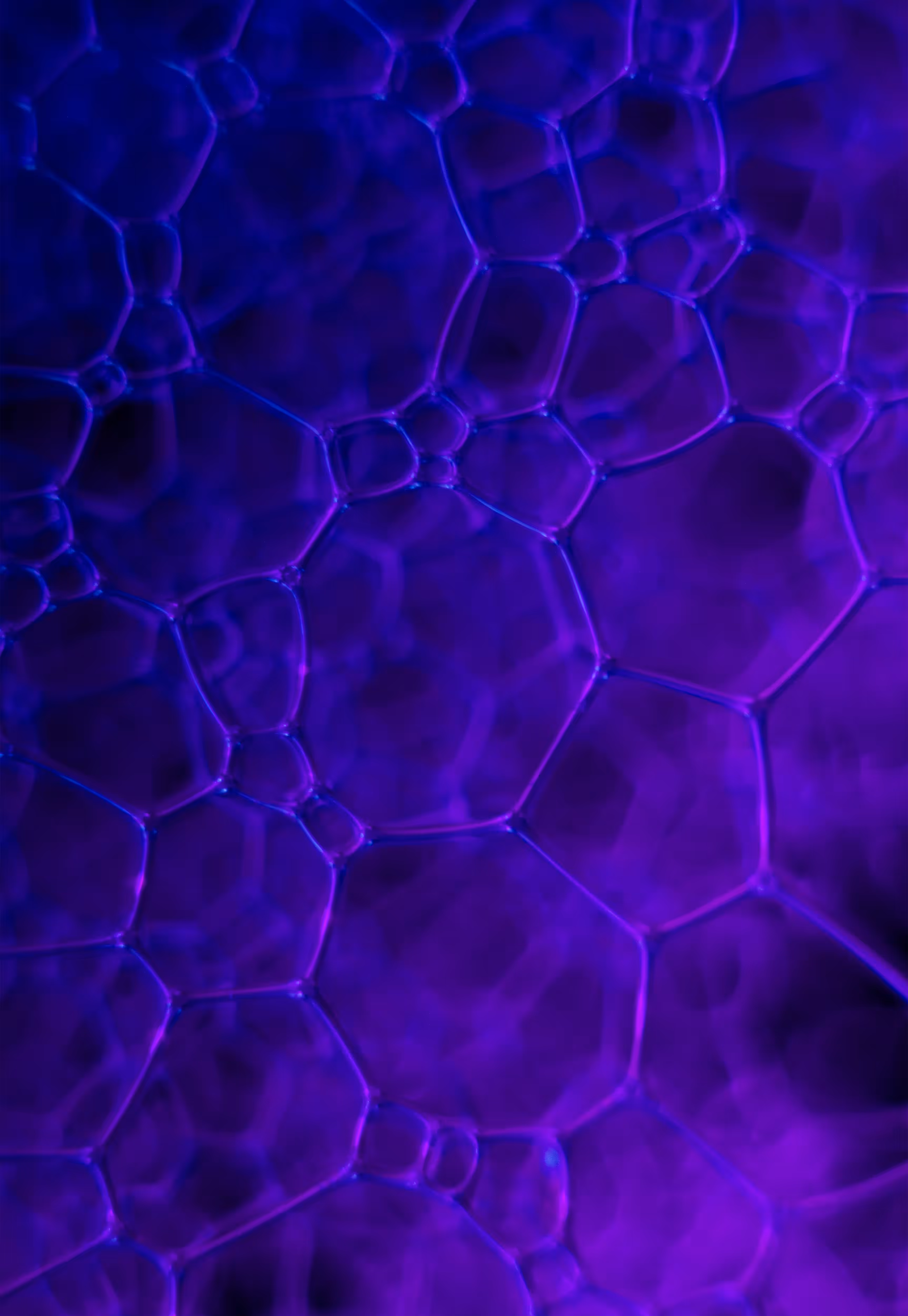 Abstract World of Soap Bubbles: #108 Bubbles