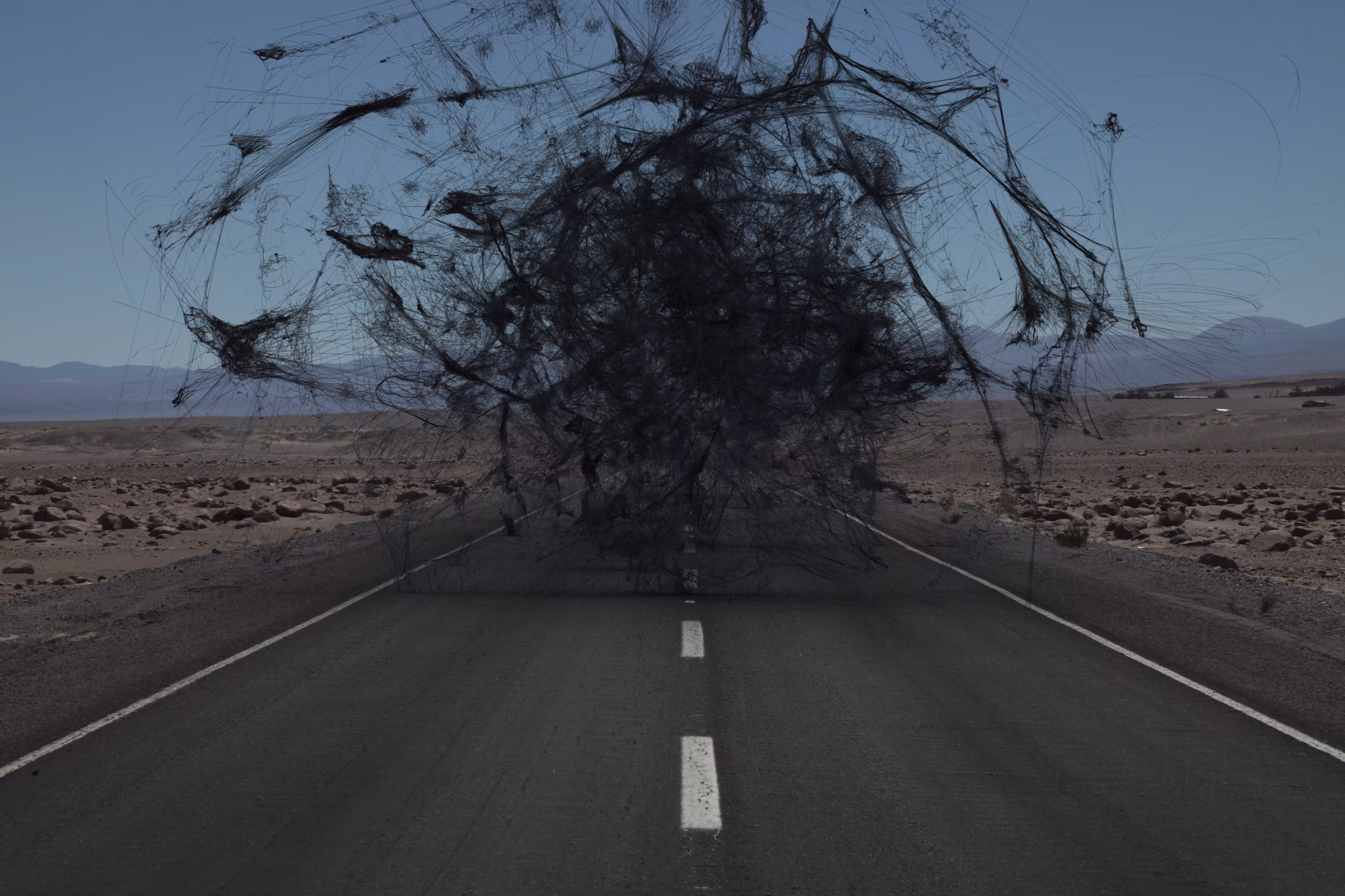 DESERT SPIRIT- Vision