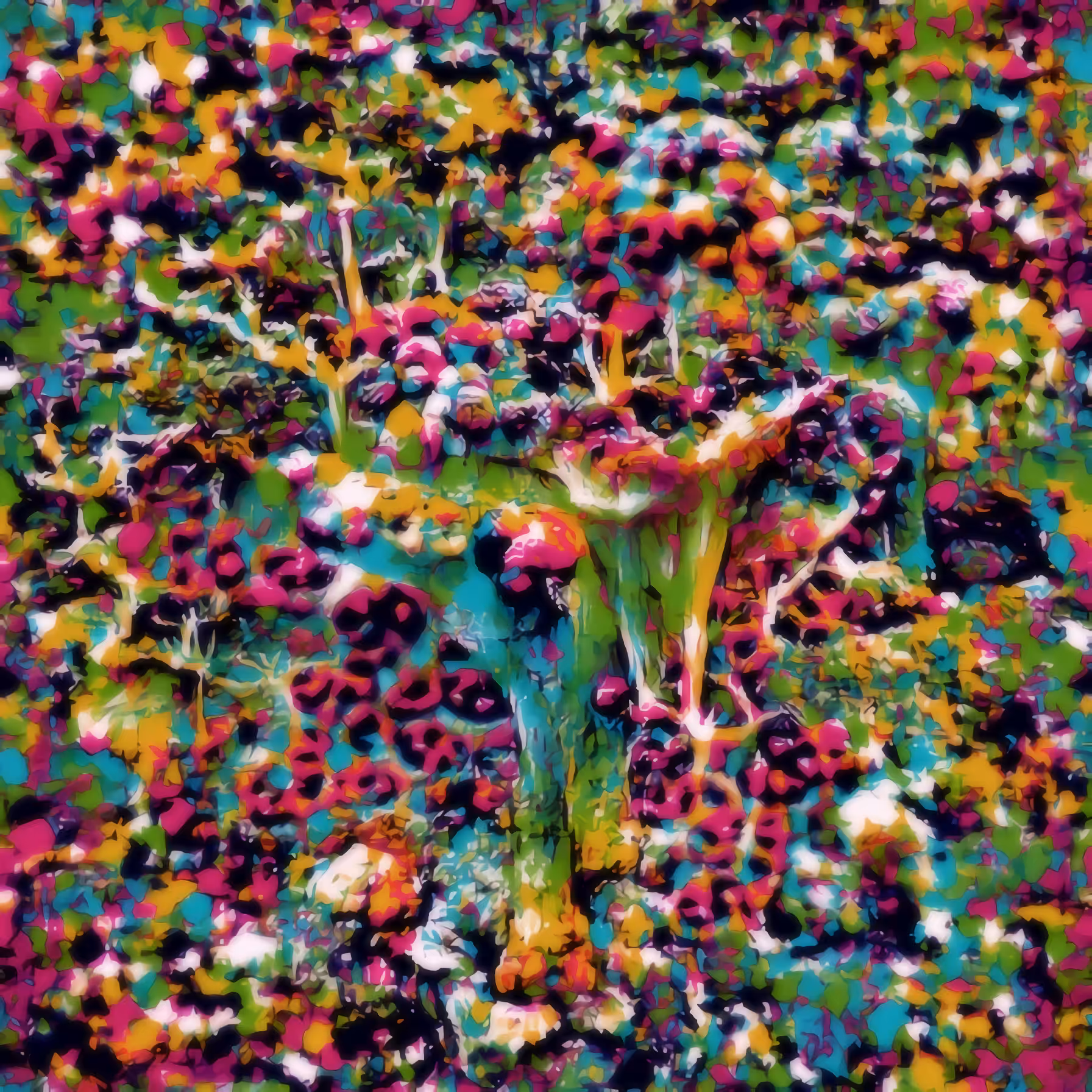 Fruits of the forest