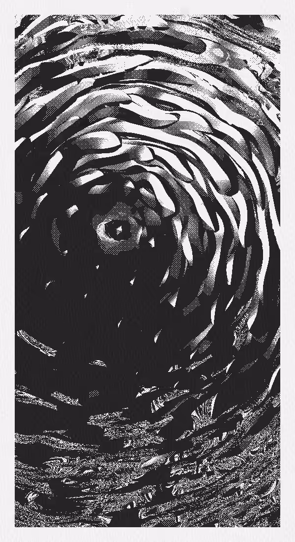 the rifle’s spiral #4