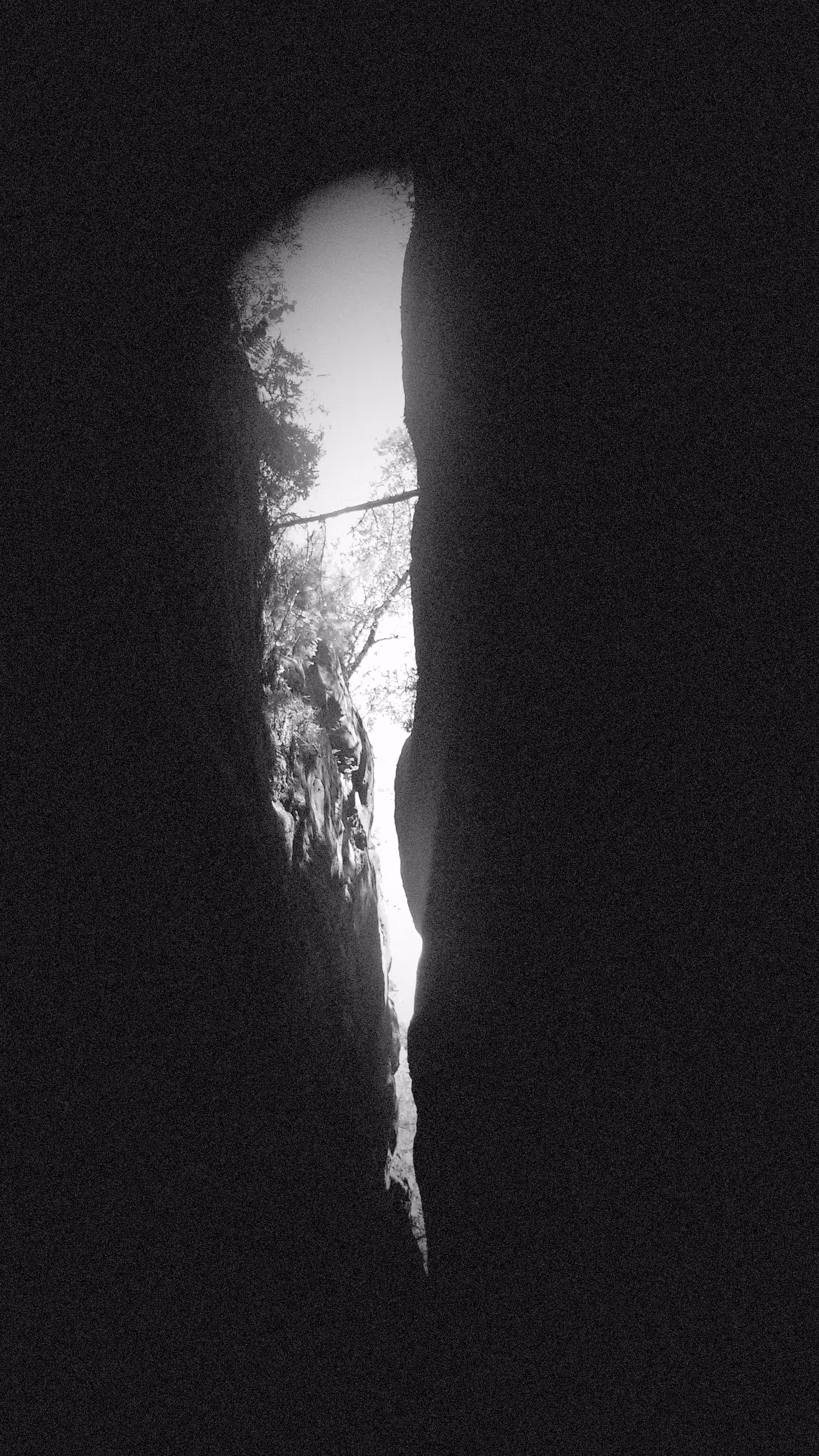 "False Light (The door you never checked - Door #8)"