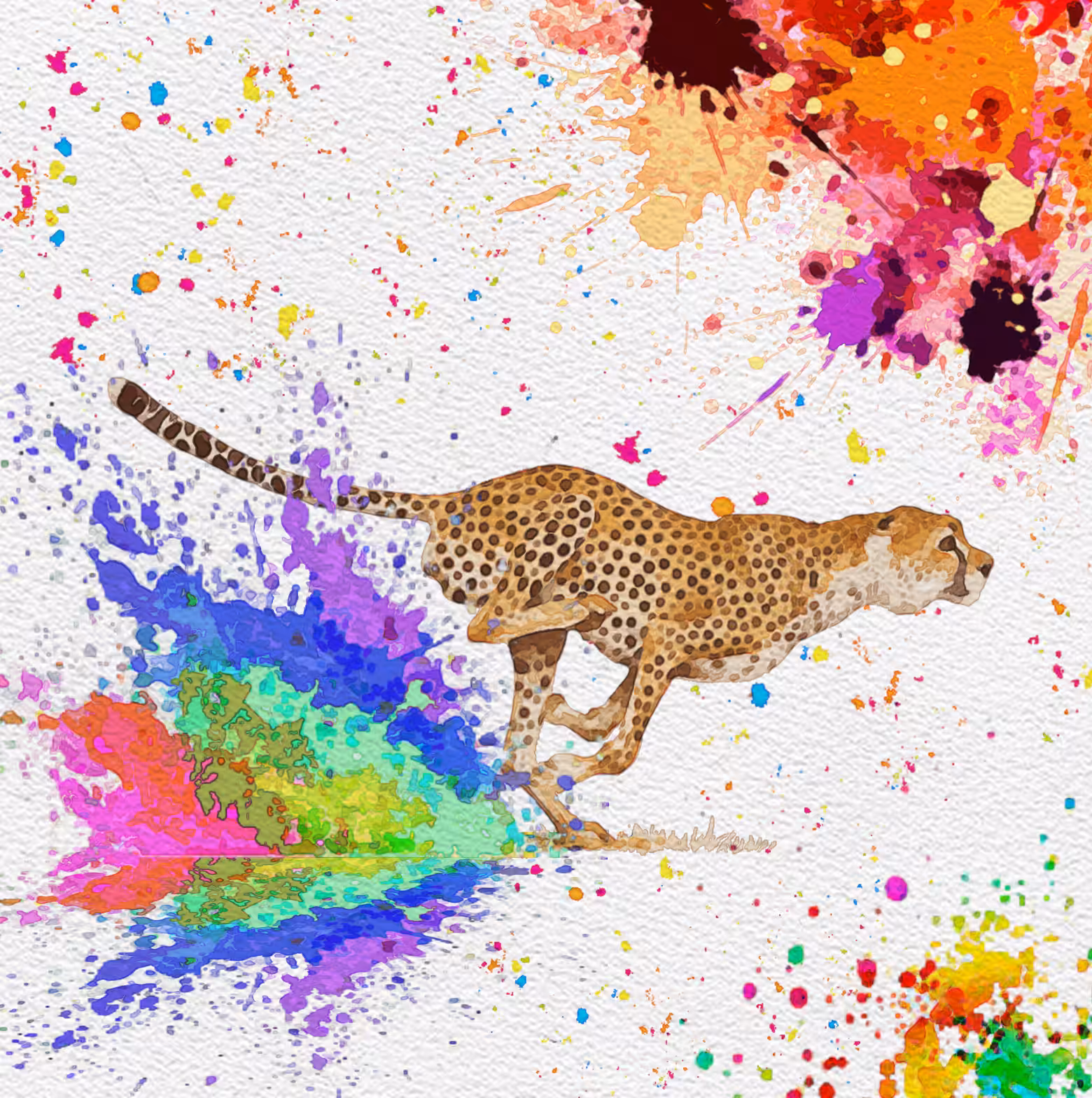 Go Cheetah