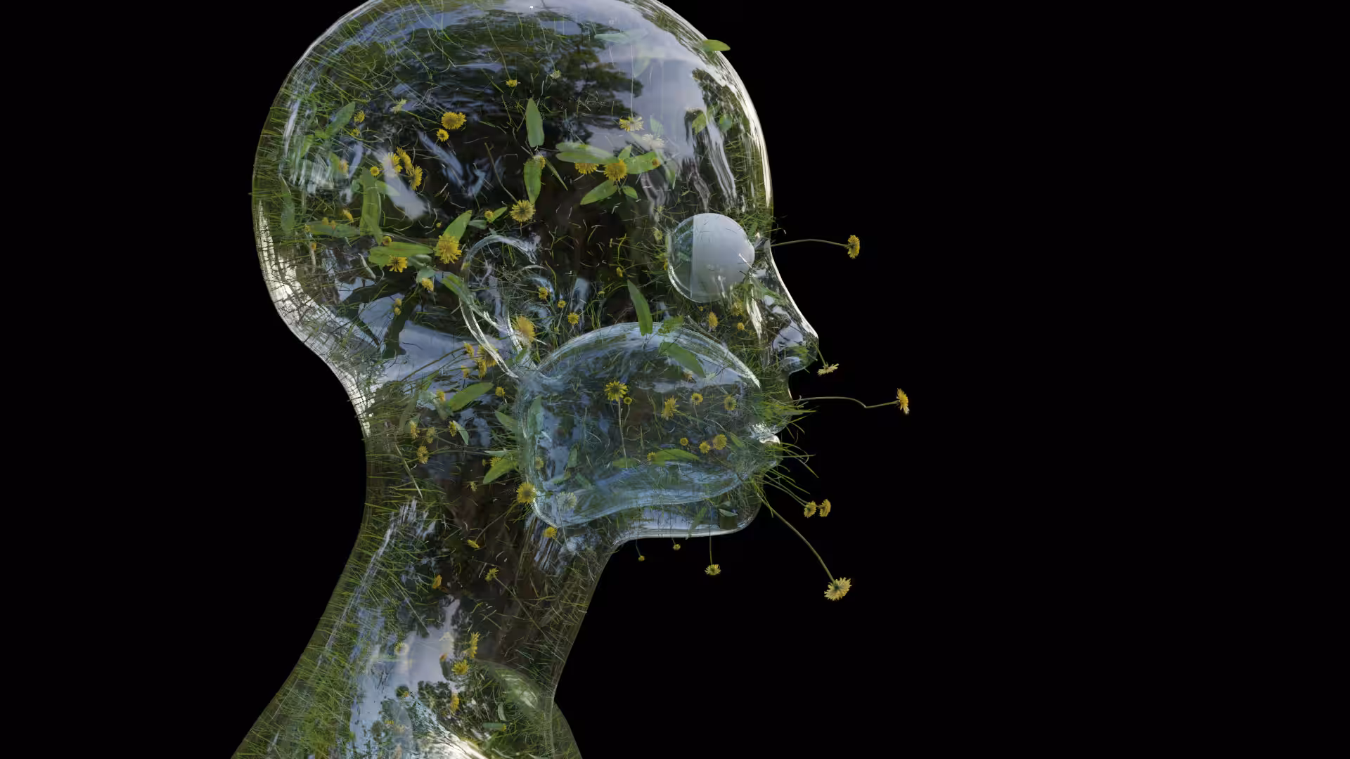 Human Nature/Glass Grass
