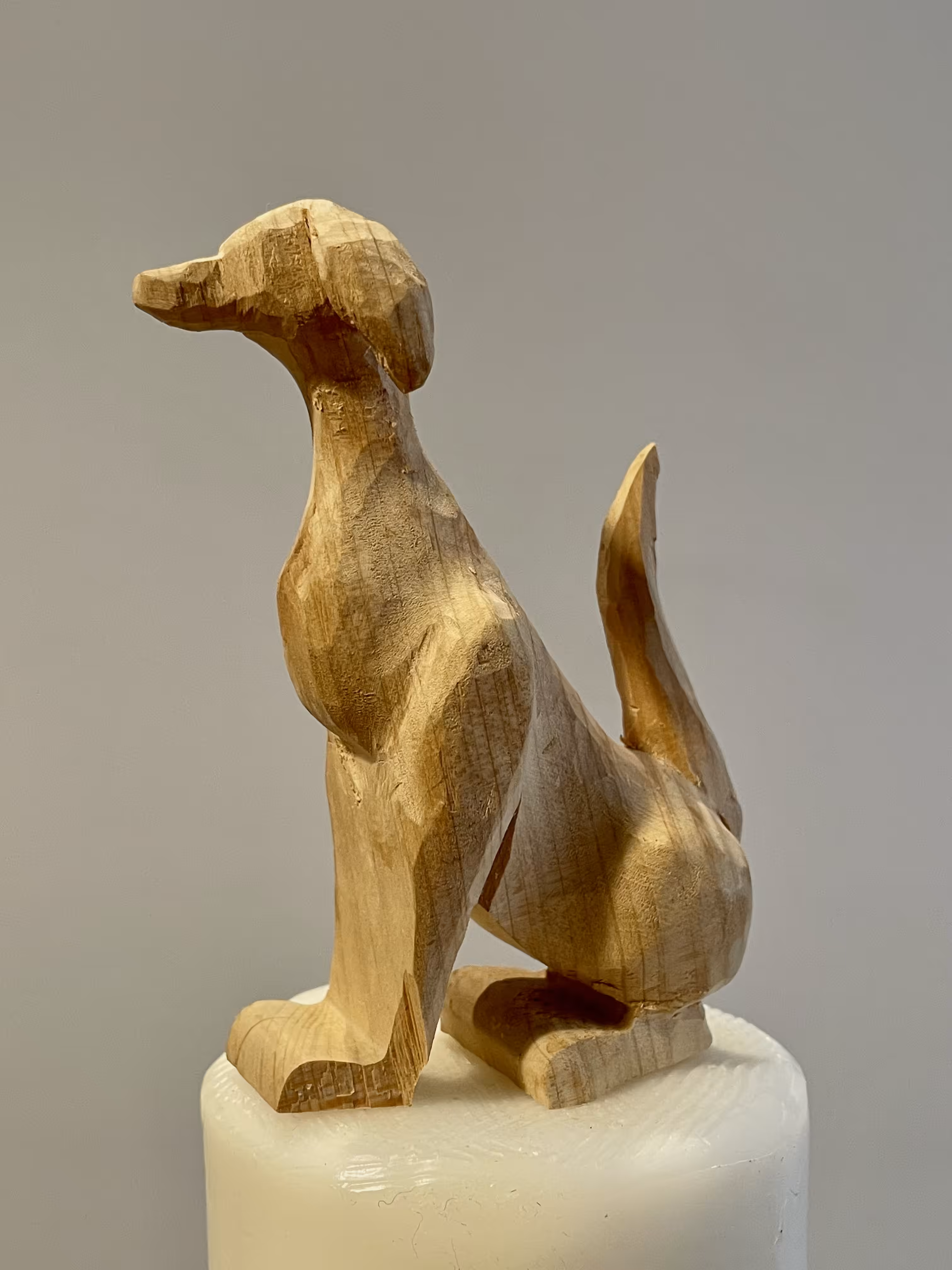 Gold Dog