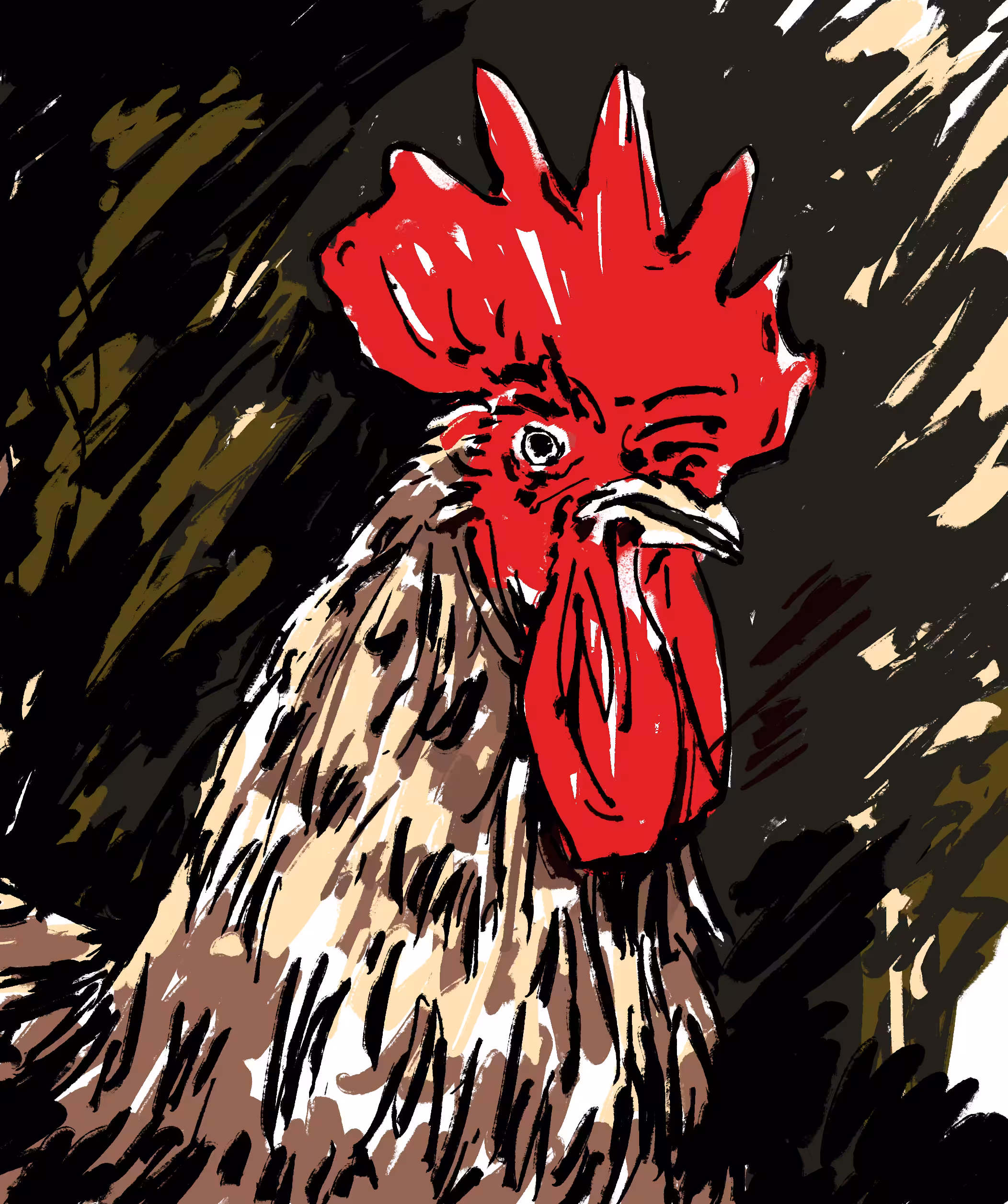 Rooster