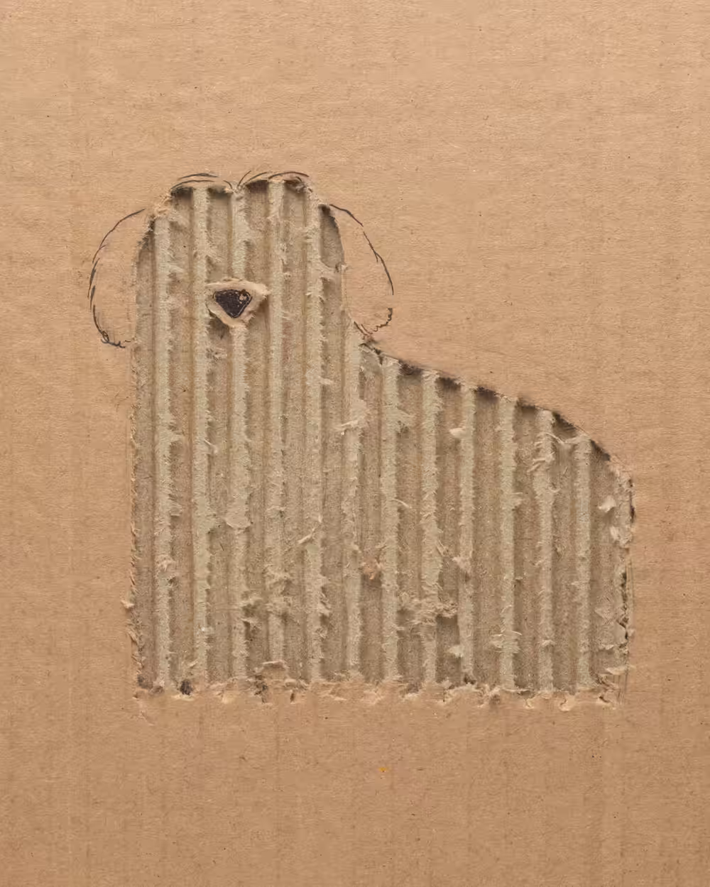 Card-dog