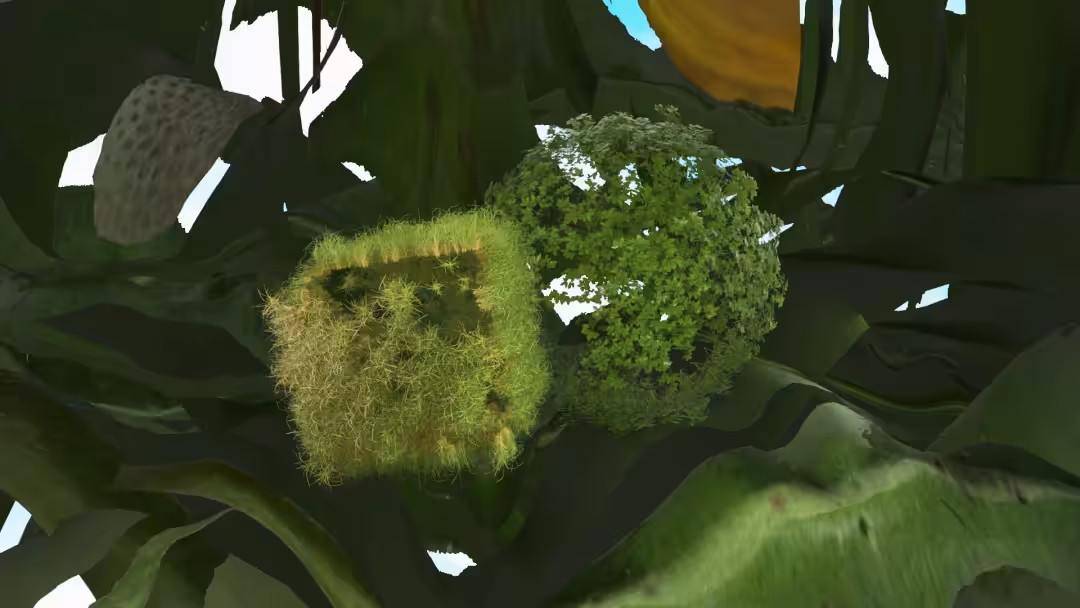 The Secret Life of Plants