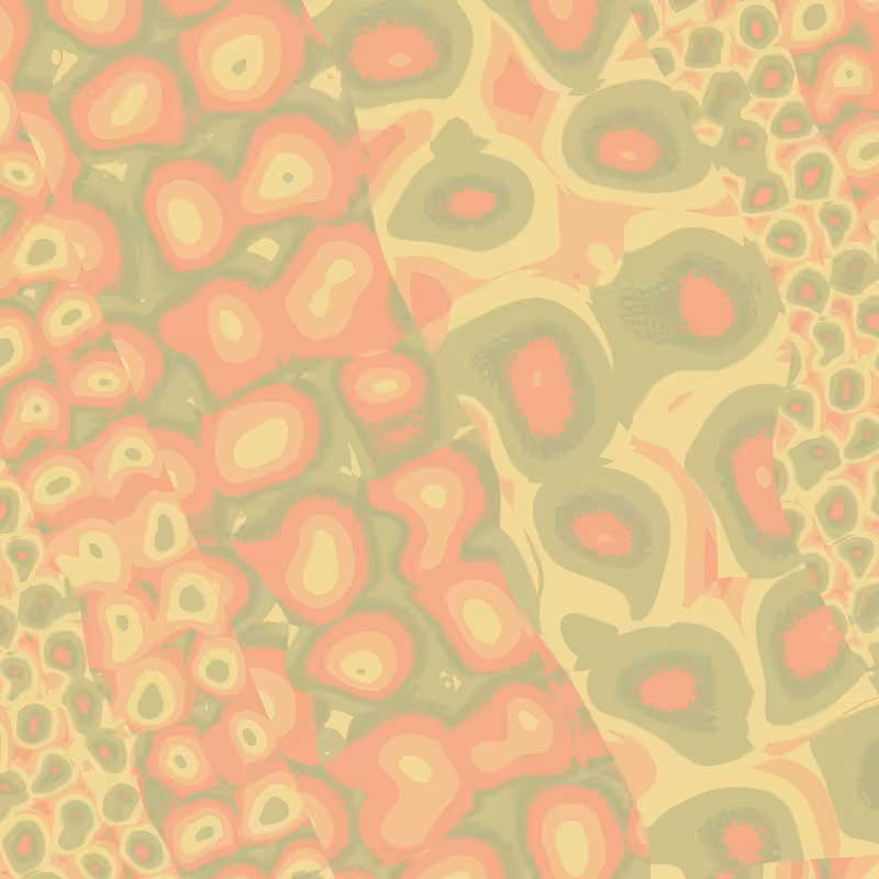 Cellulae #41