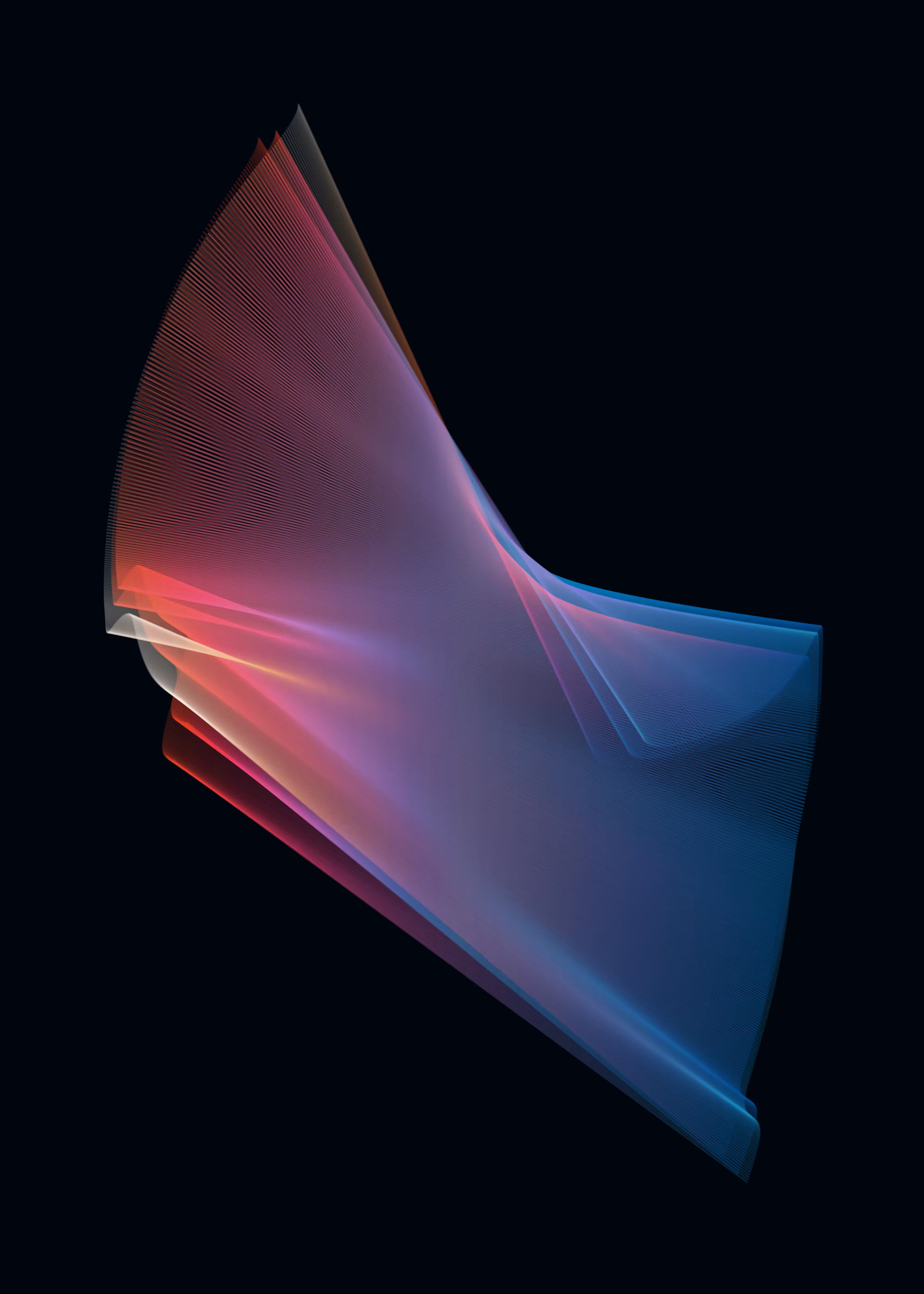 Silk 81