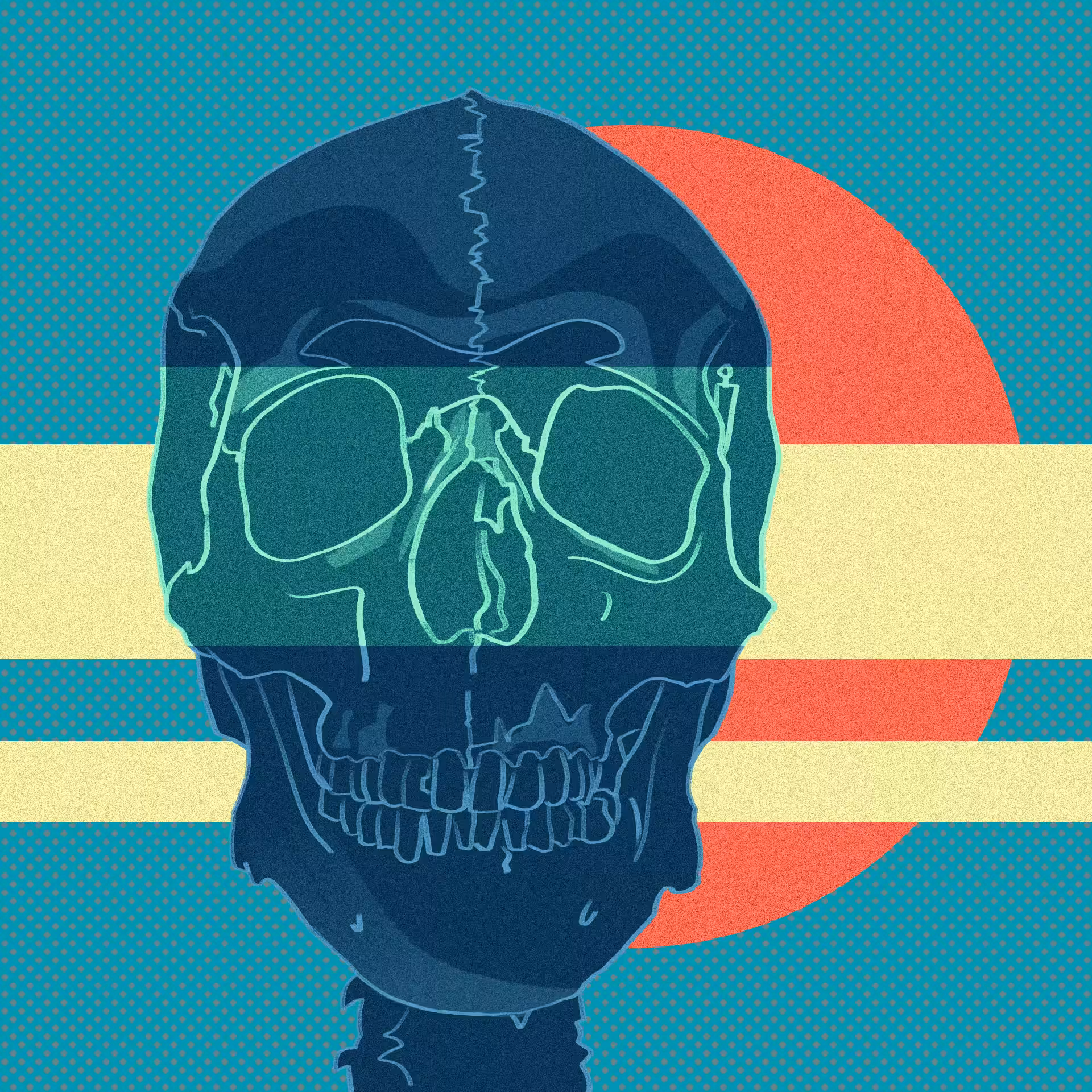 human skull #04