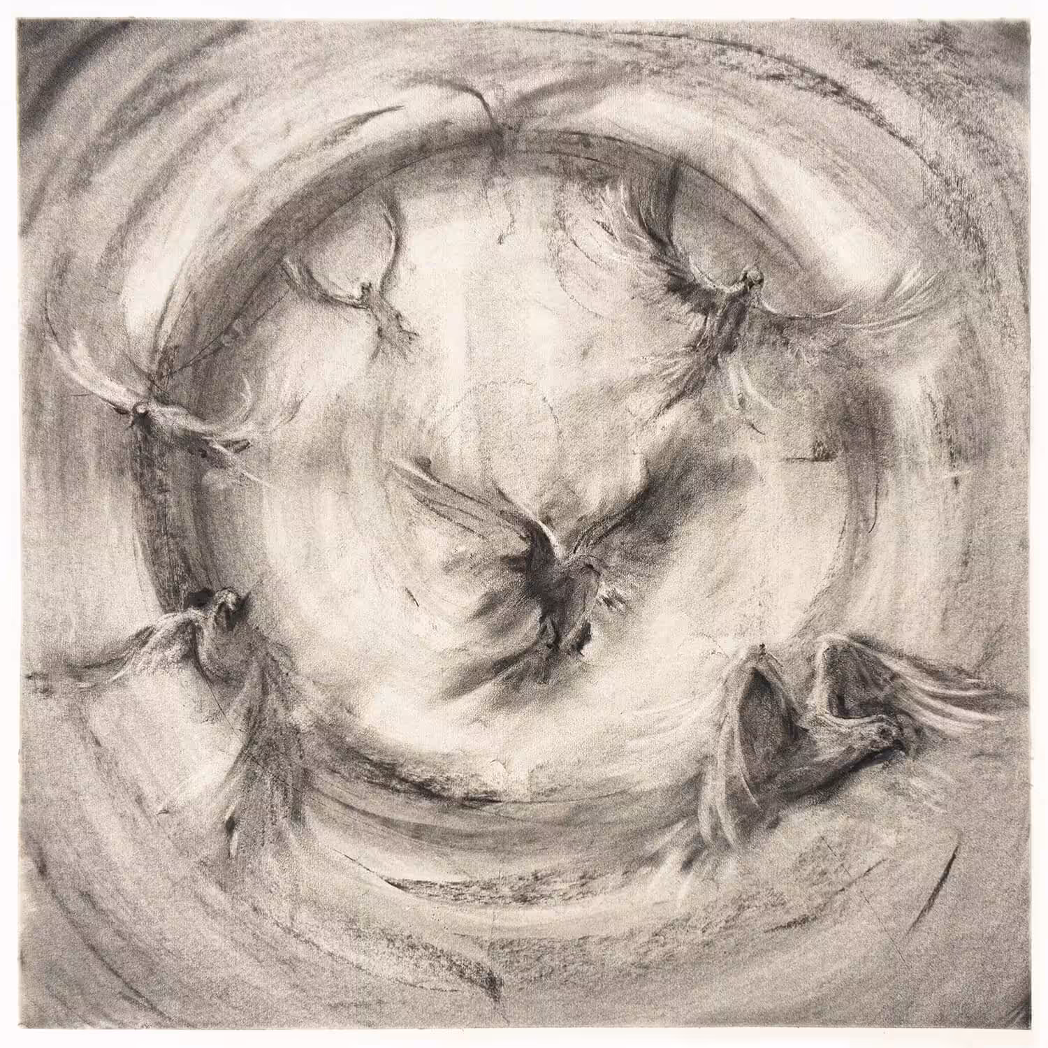 These Doves Fly for You