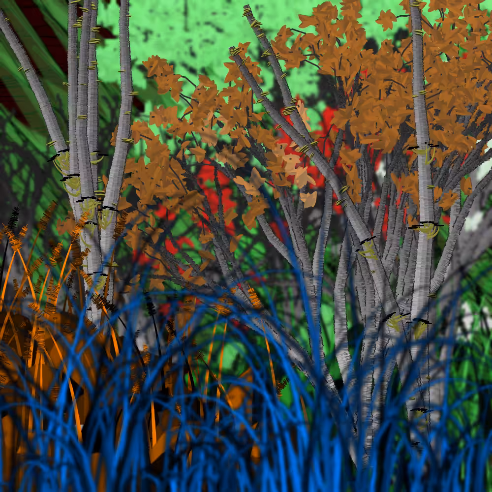 Nature's Vanity: Slideshow #8