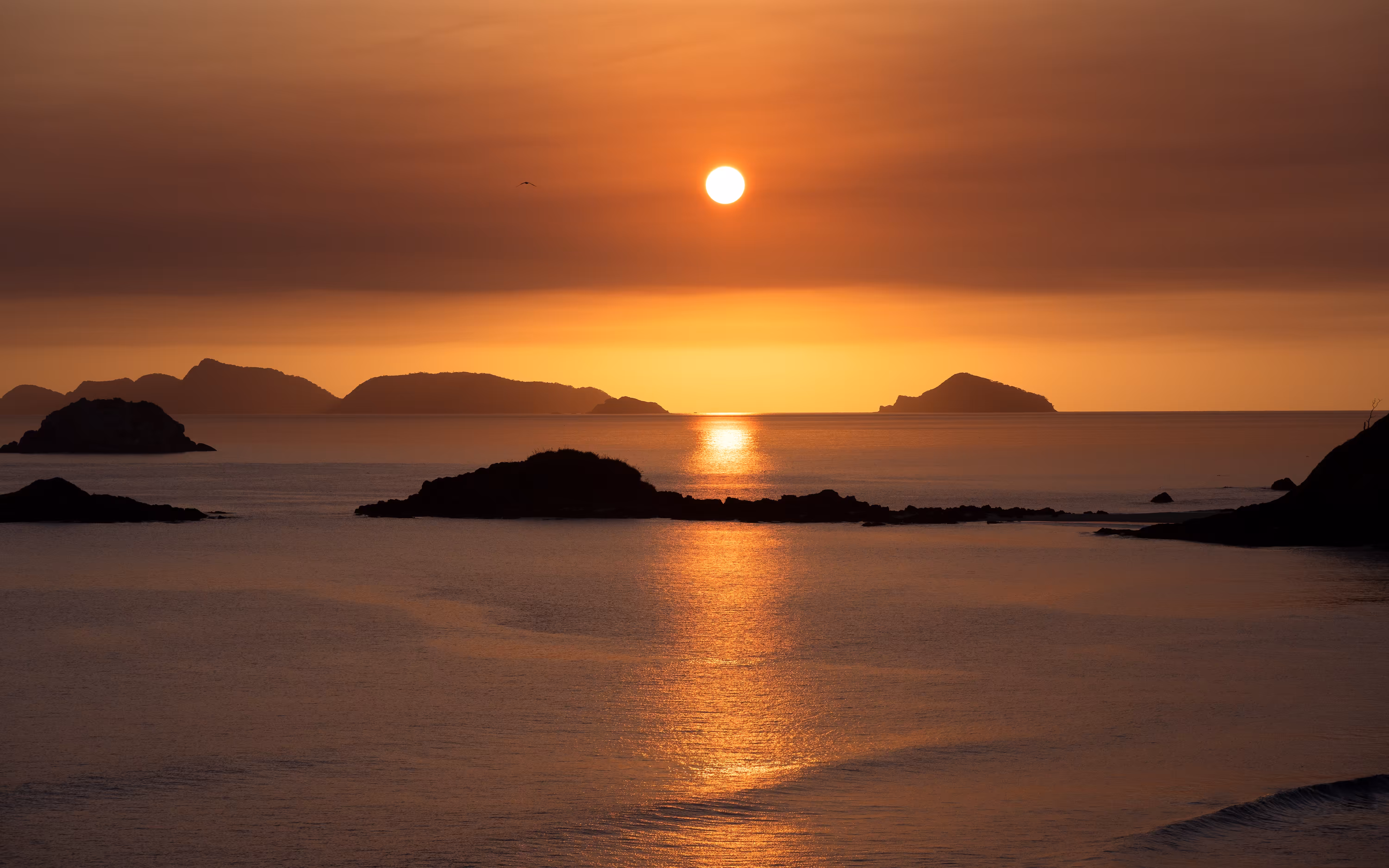 Bream Head Sunrise